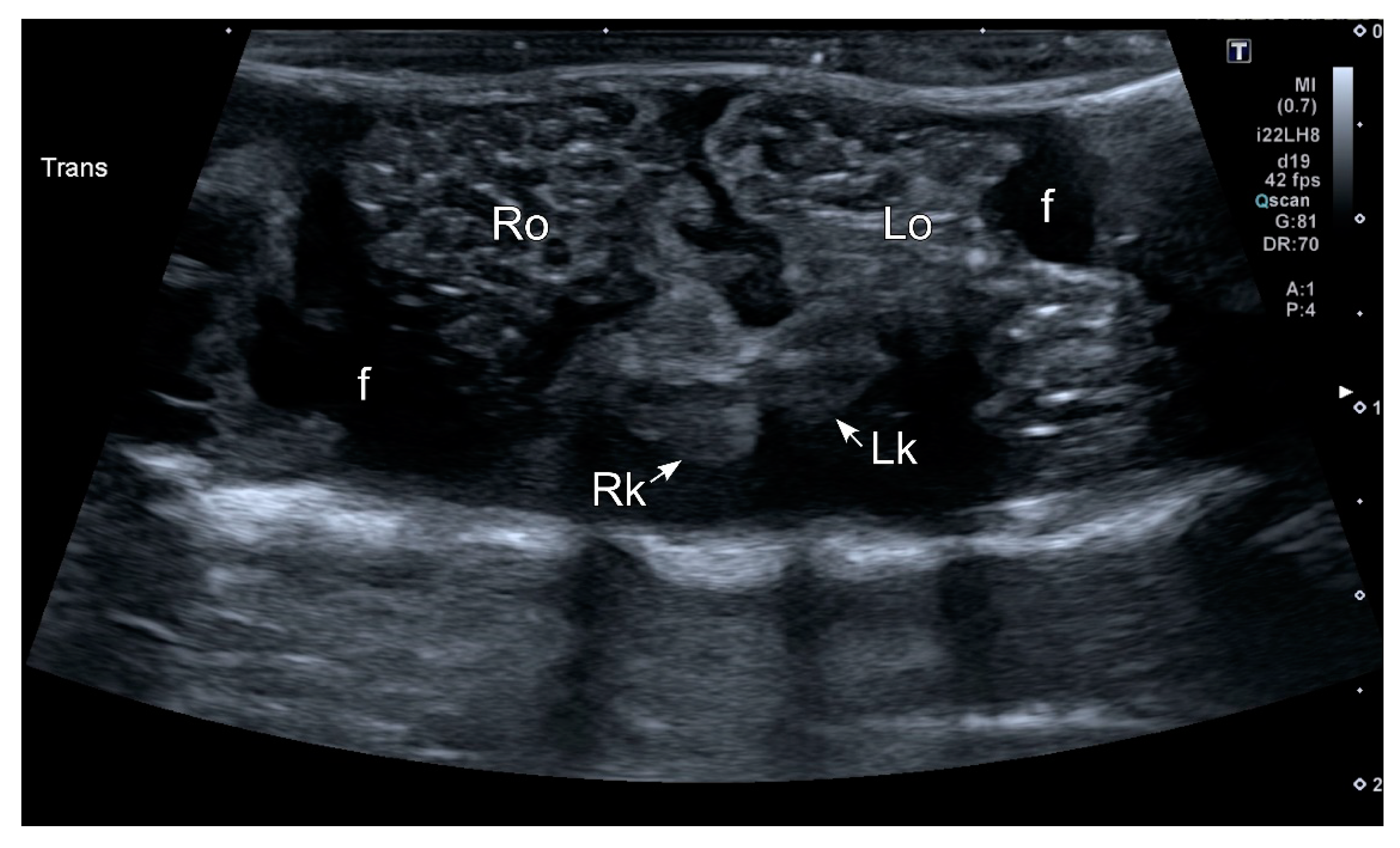 Animals 10 02142 g006