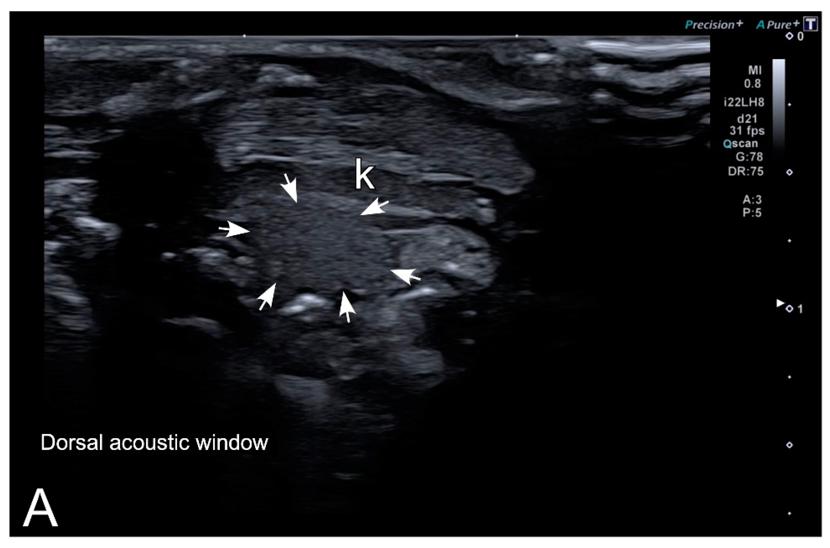 Animals 10 02142 g007a