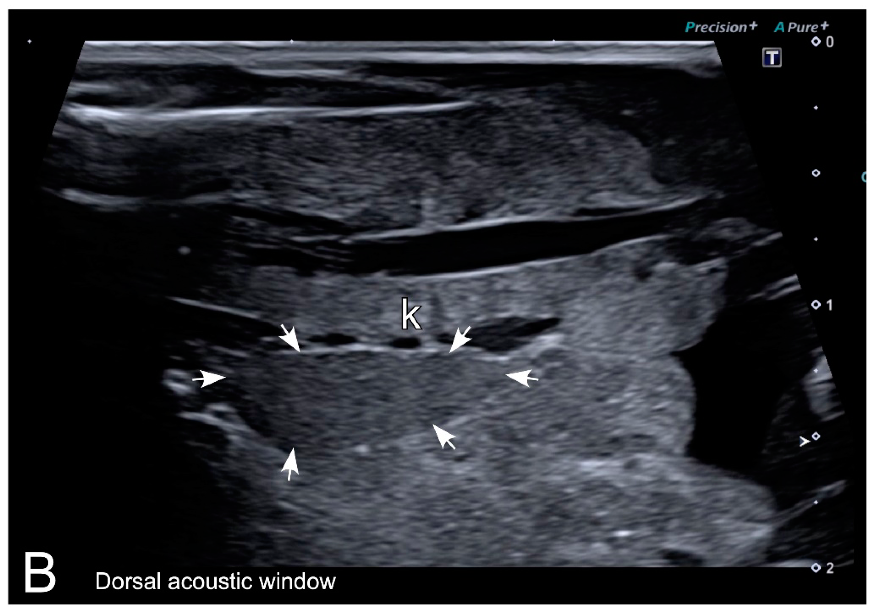 Animals 10 02142 g007b