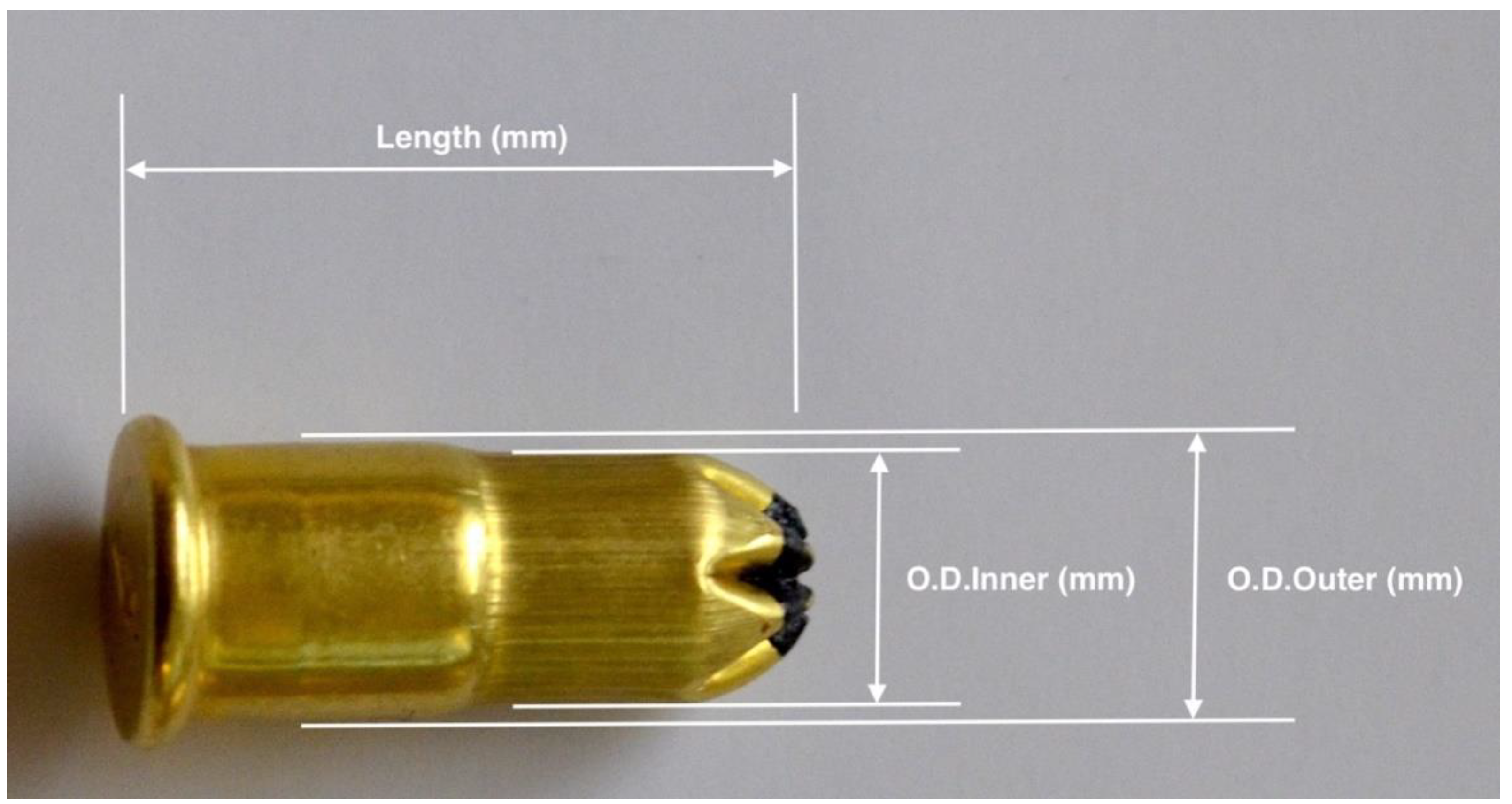 Animals 10 02146 g001