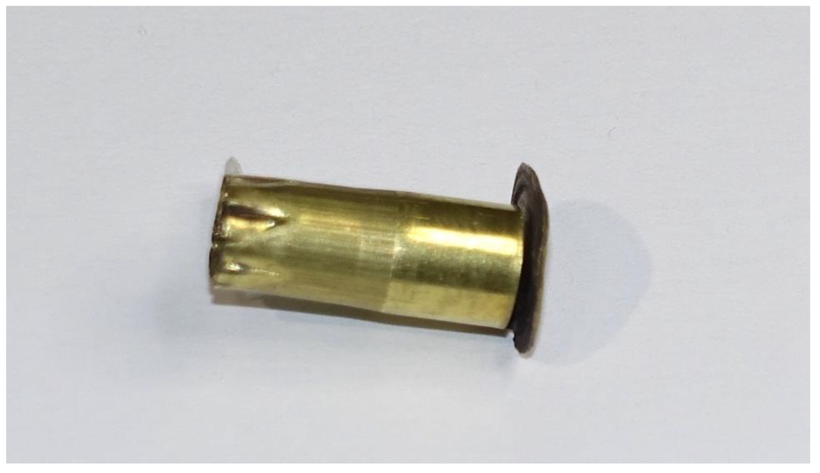 Animals 10 02146 g005