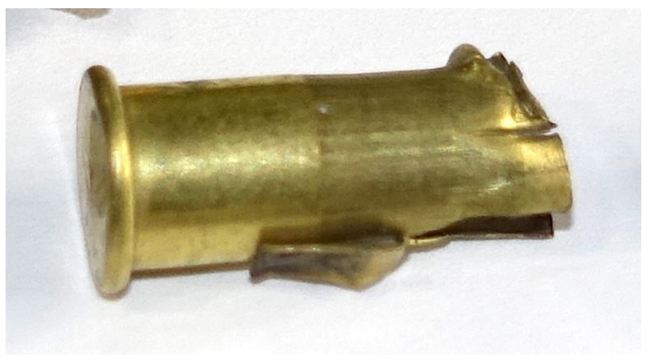 Animals 10 02146 g008