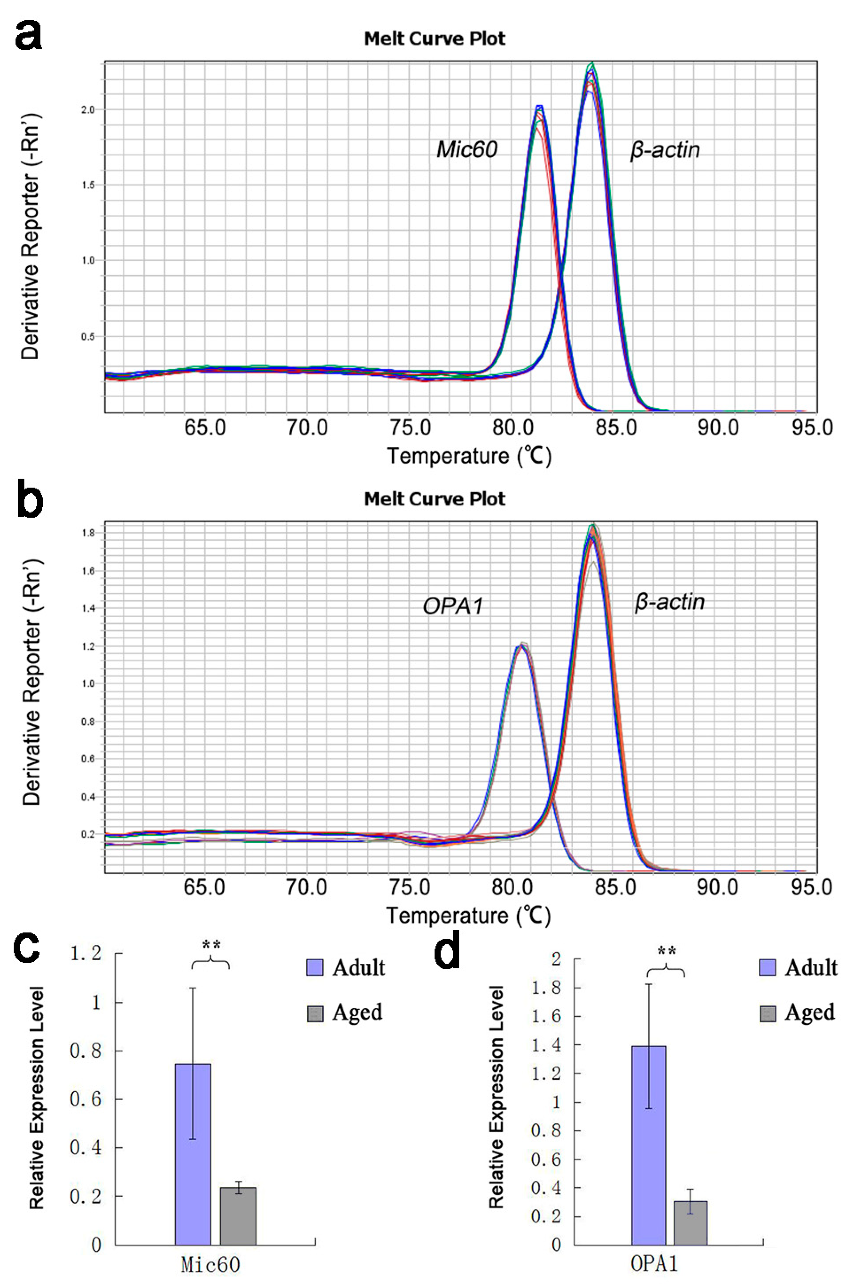 Animals 10 02160 g001