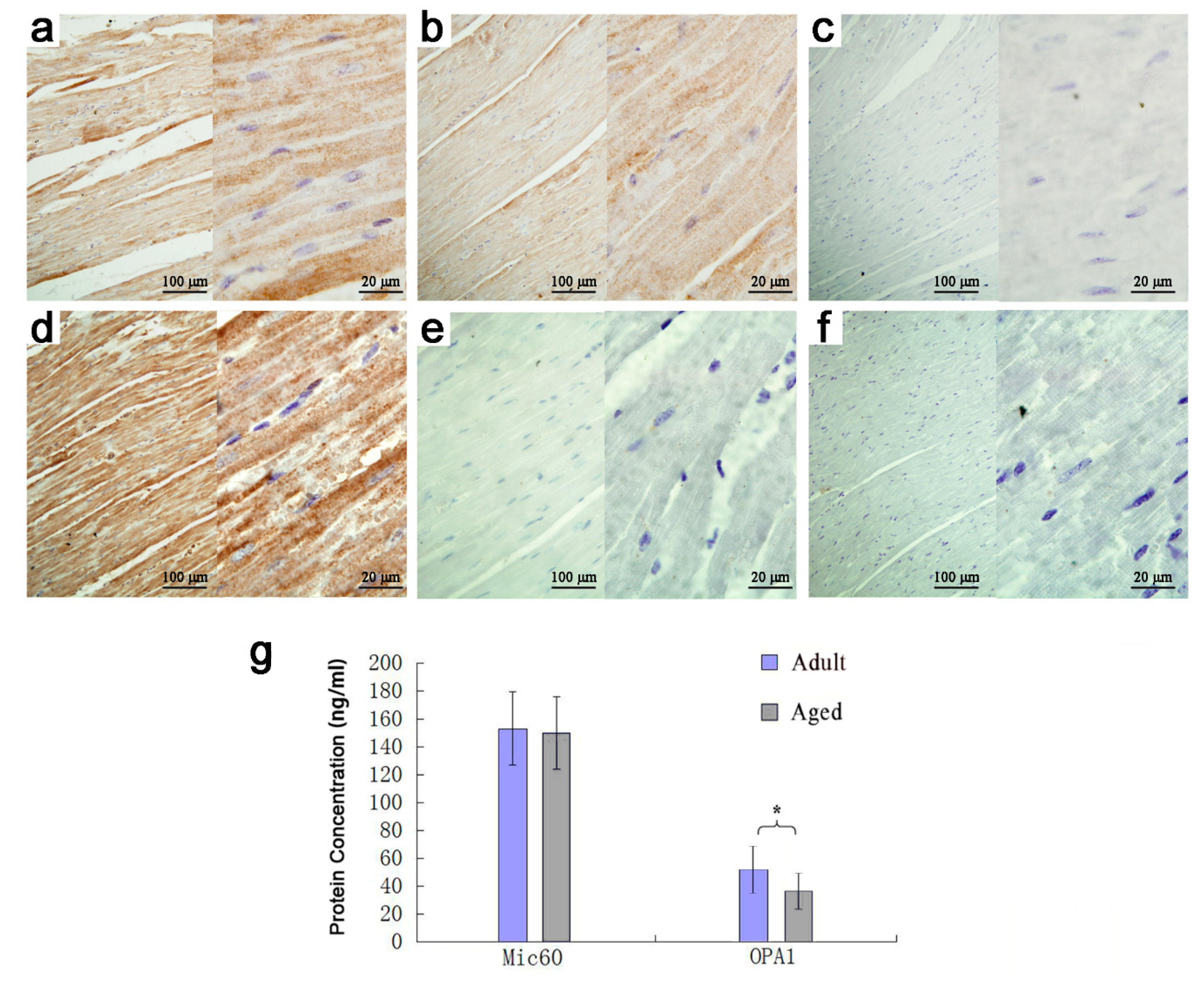 Animals 10 02160 g002