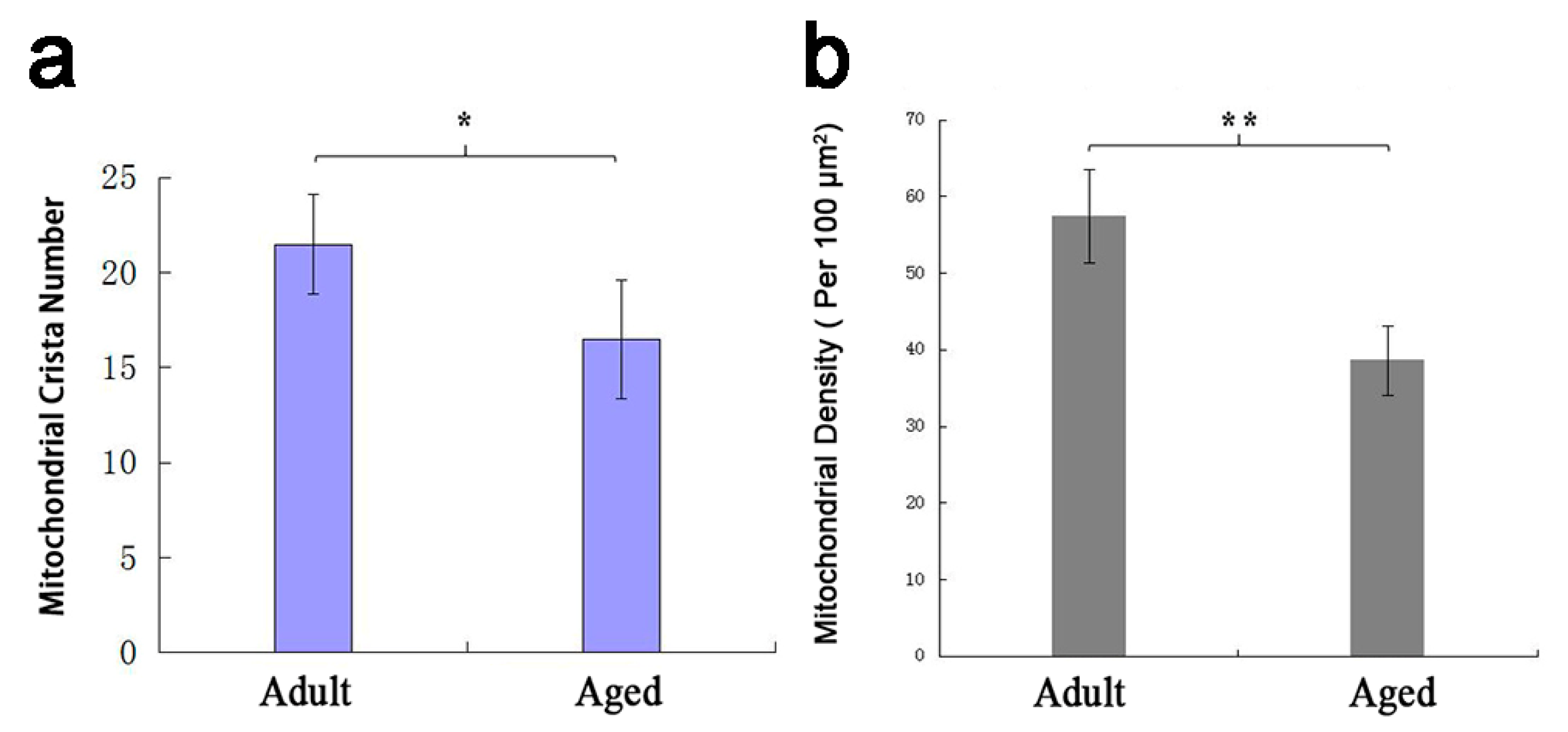 Animals 10 02160 g004