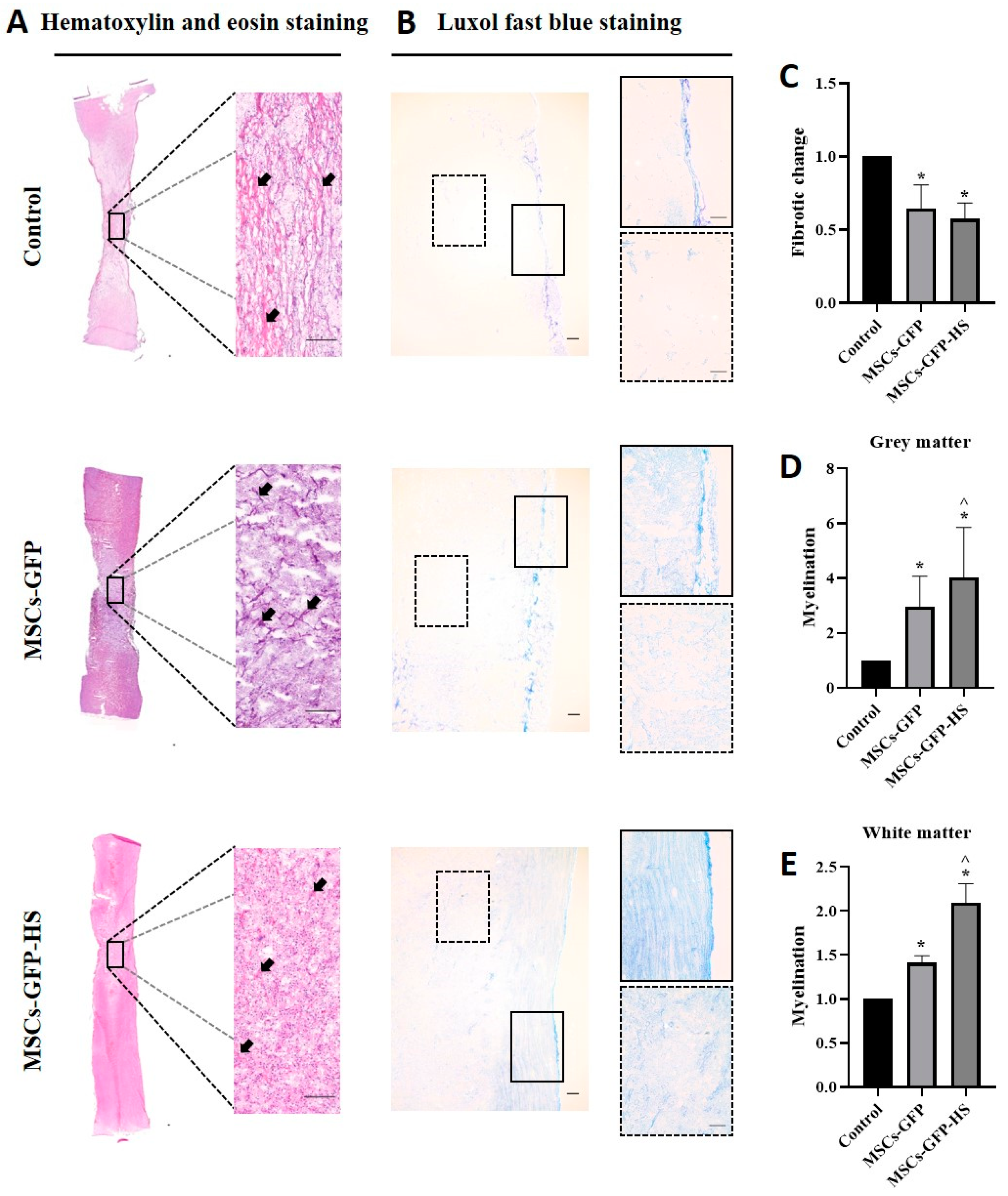 Animals 10 02164 g002