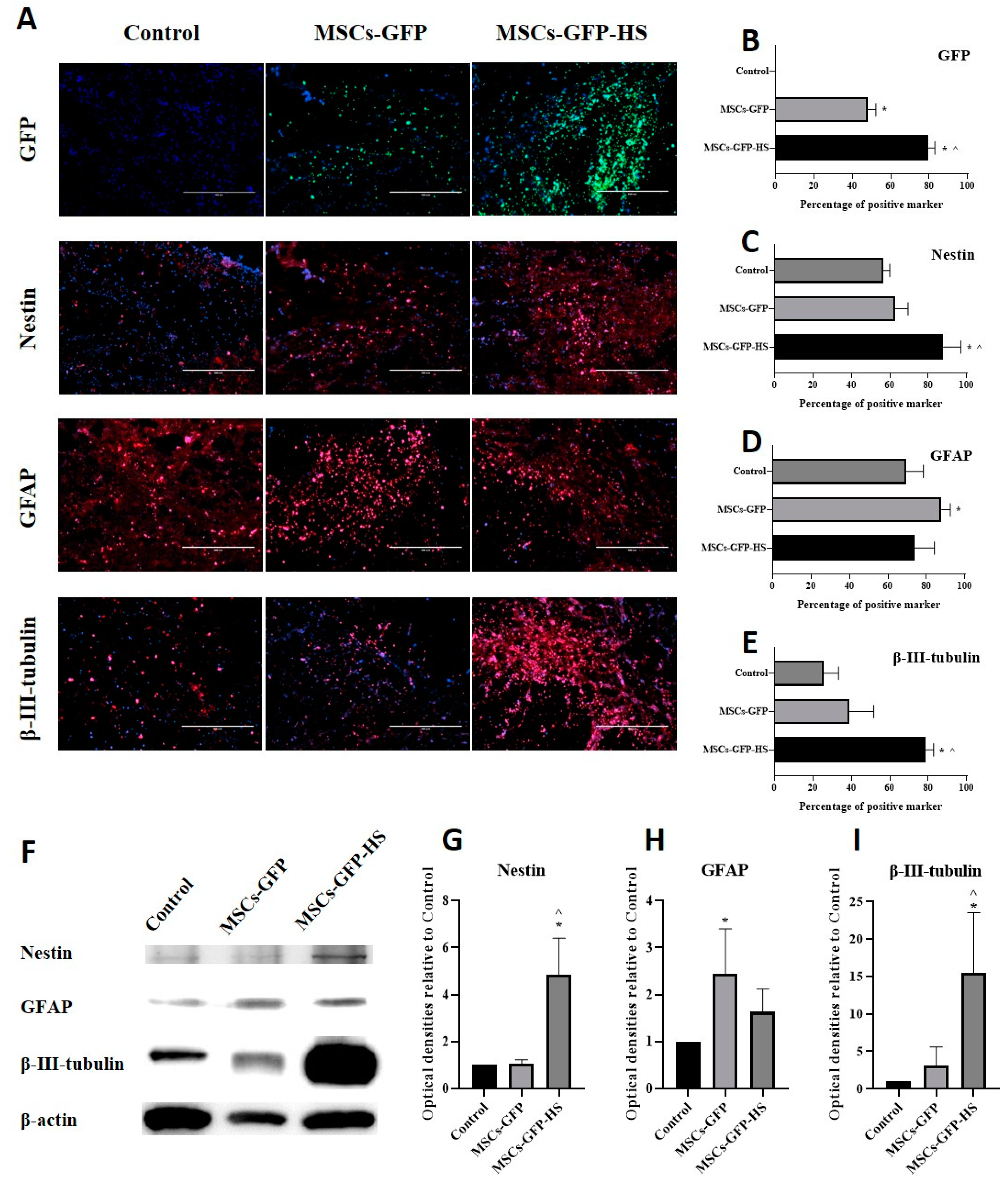 Animals 10 02164 g003