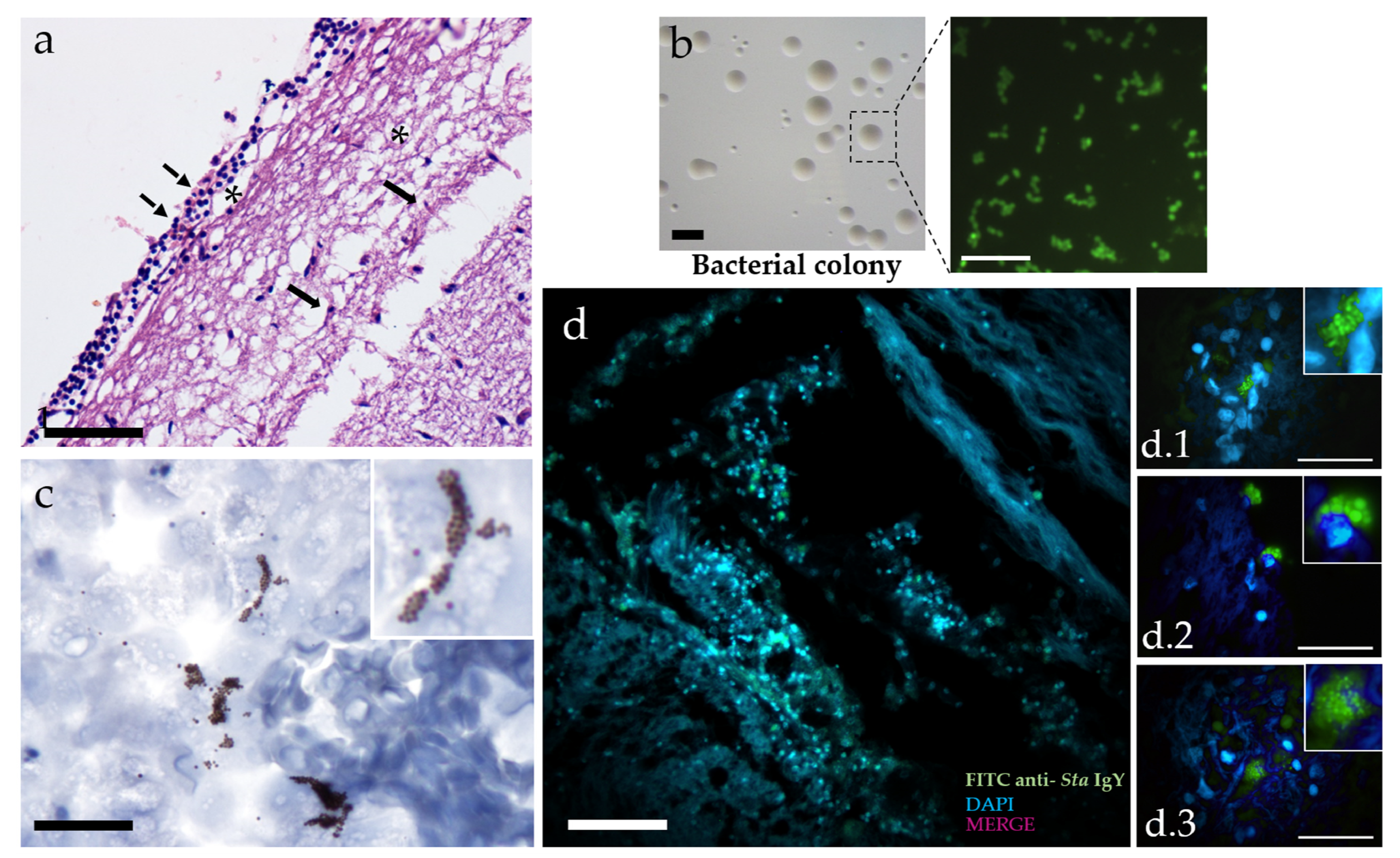 Animals 10 02166 g001 Animals 10 02166 g001