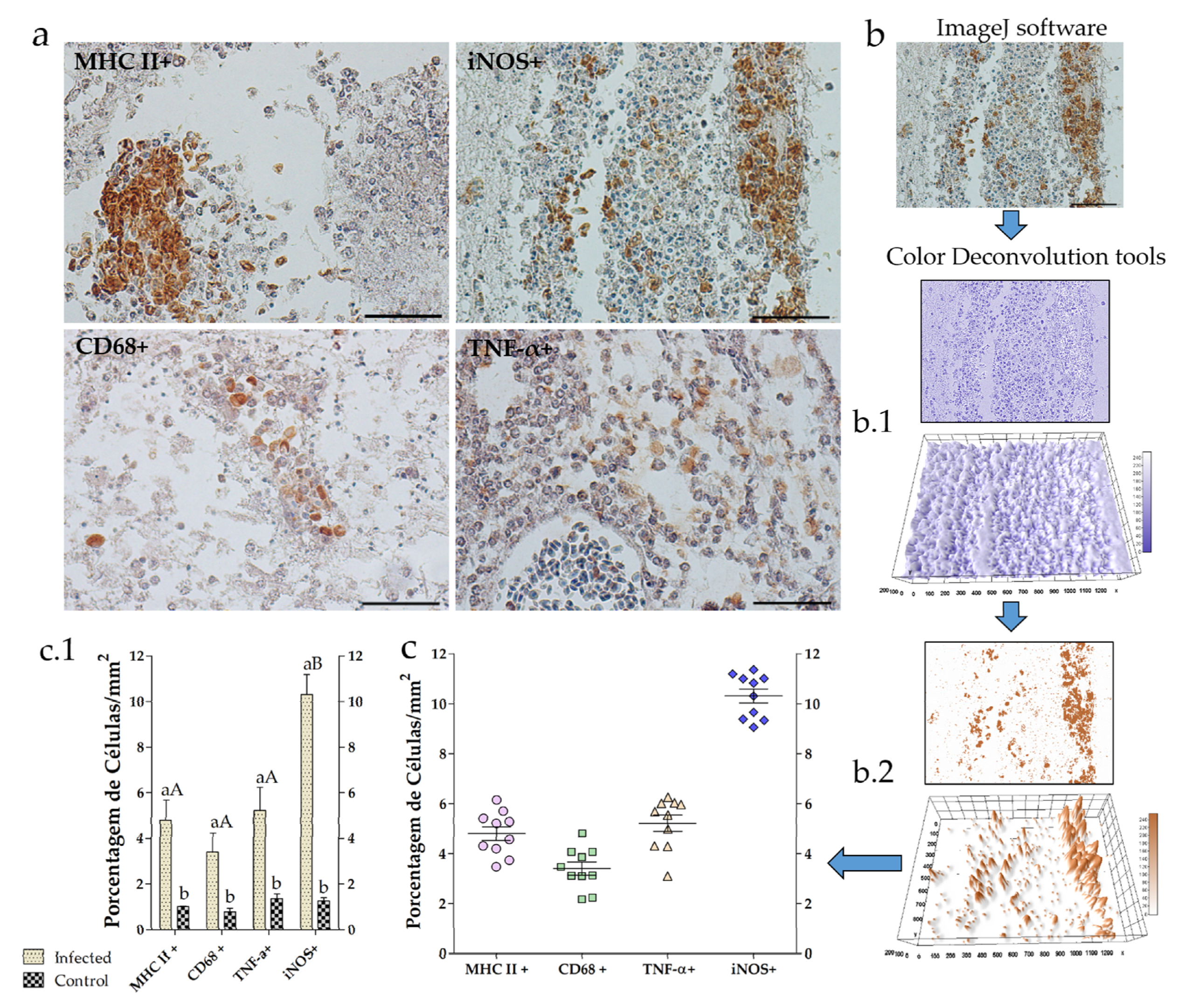 Animals 10 02166 g002 Animals 10 02166 g002