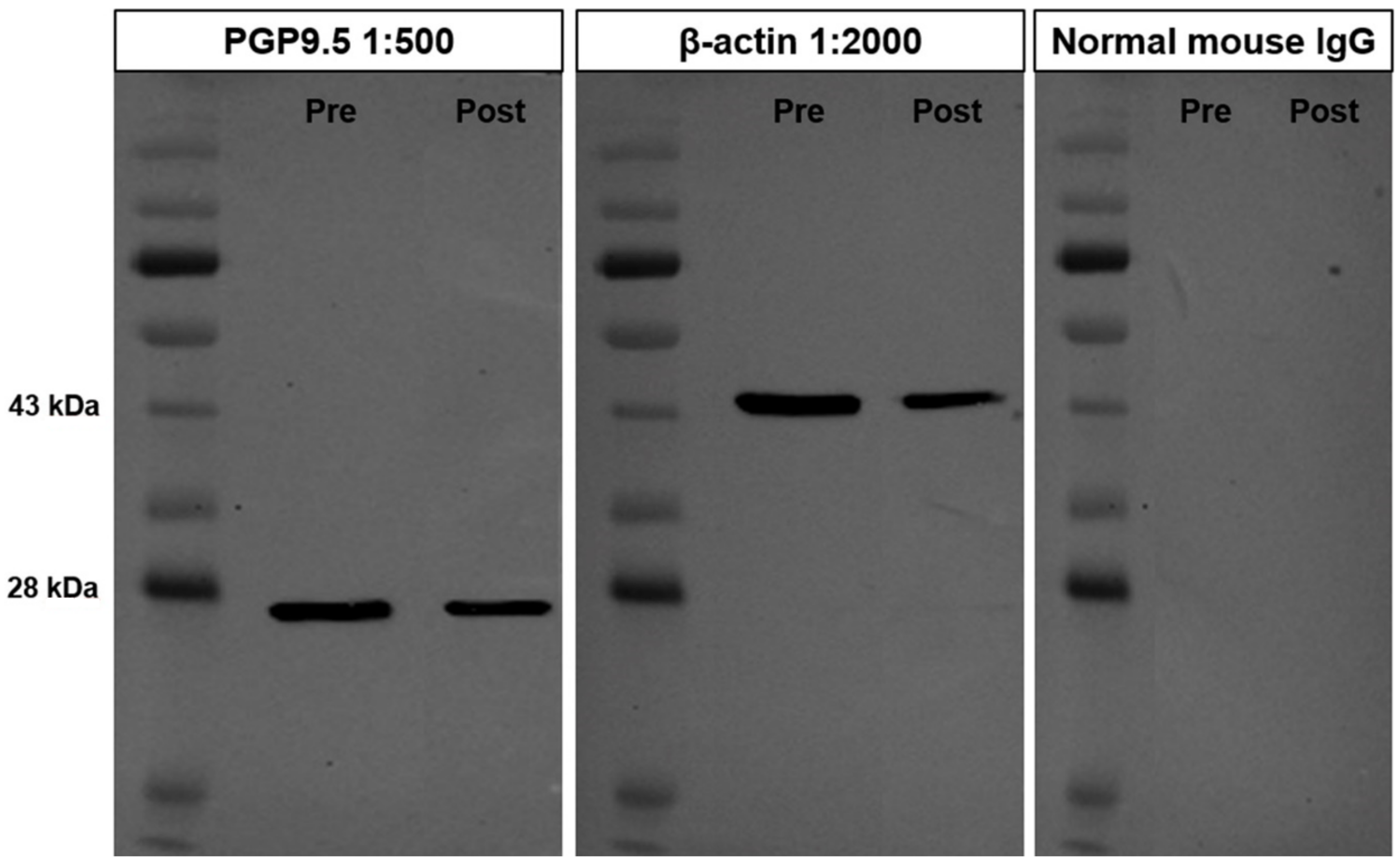 Animals 10 02169 g001 Animals 10 02169 g001