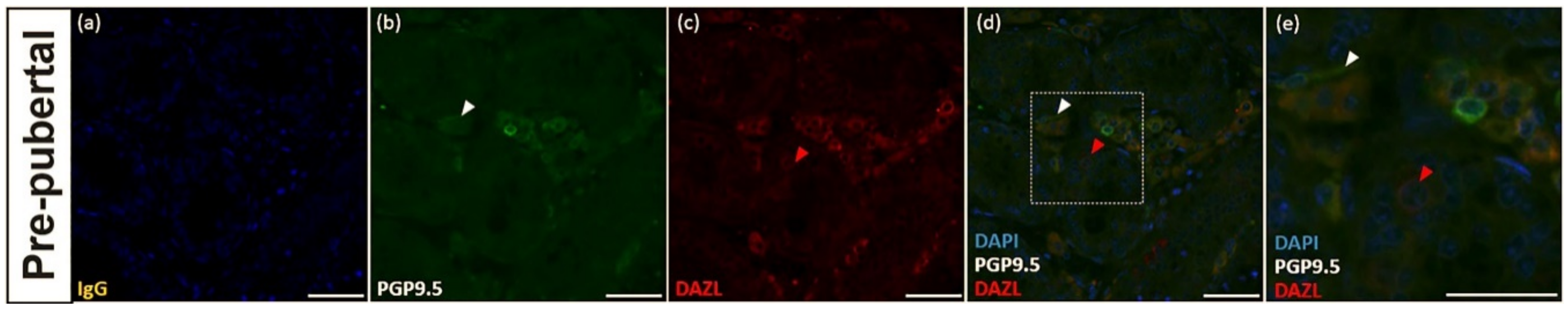 Animals 10 02169 g003 Animals 10 02169 g003