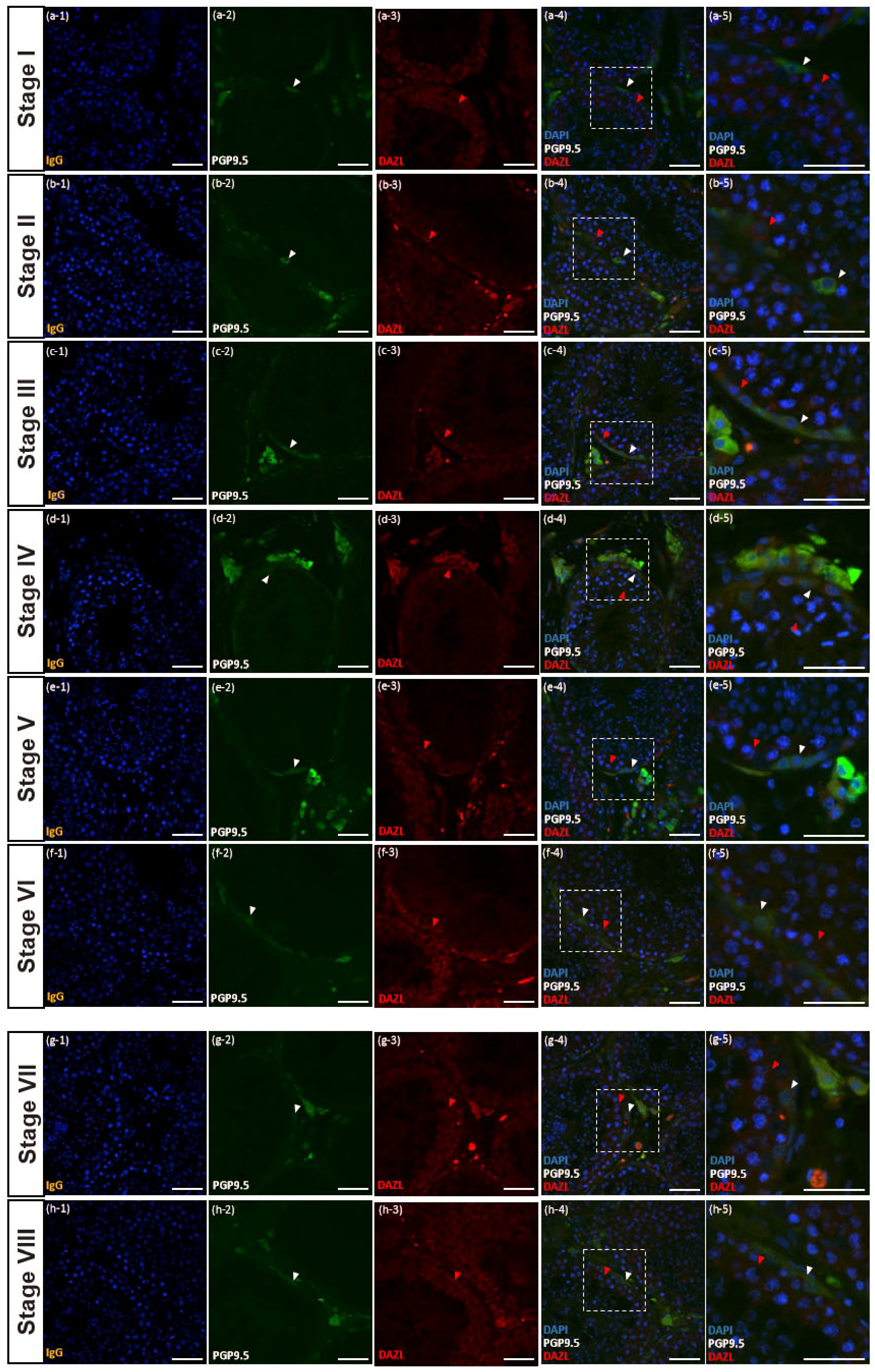 Animals 10 02169 g004 Animals 10 02169 g004