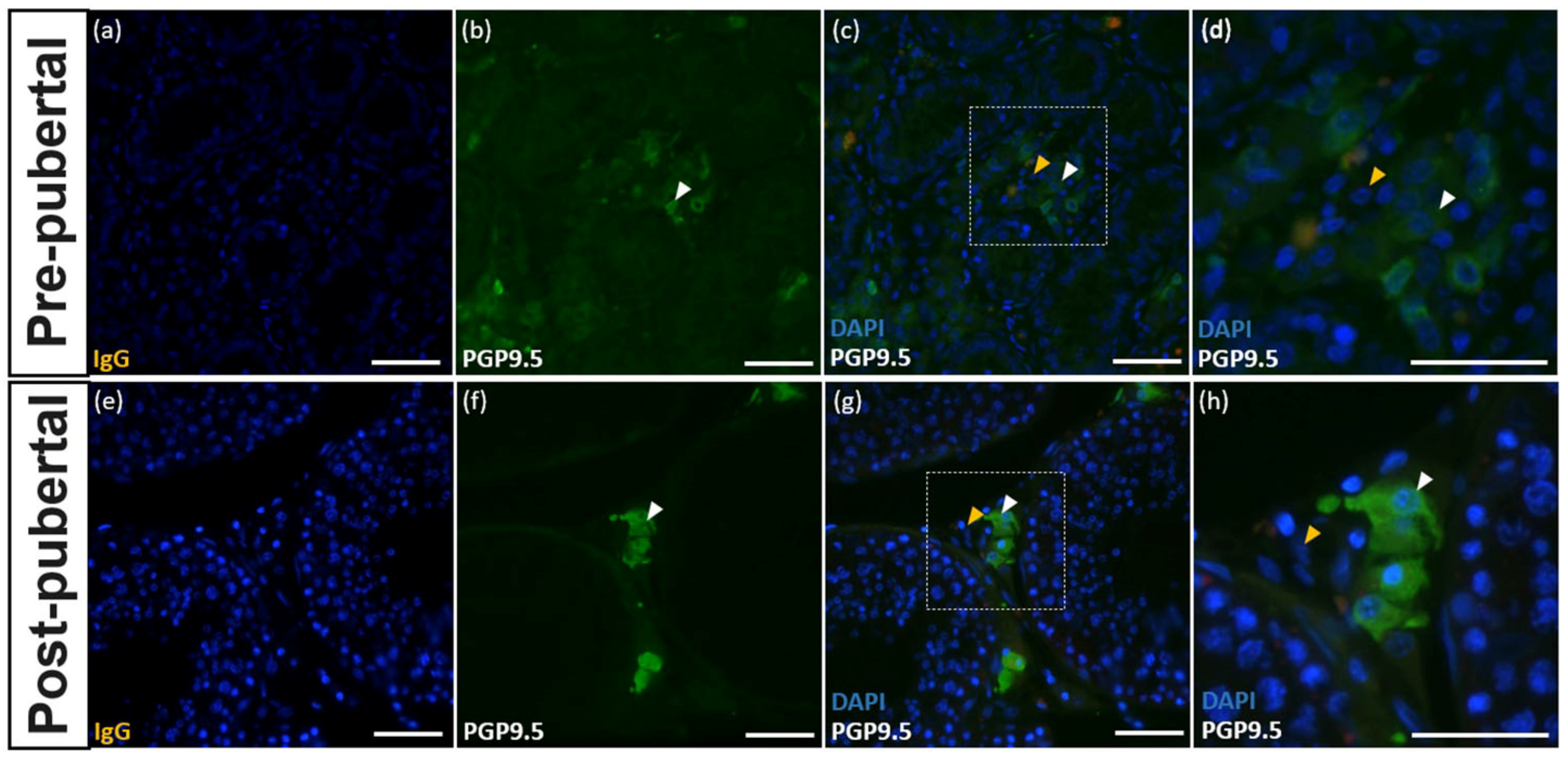 Animals 10 02169 g005 Animals 10 02169 g005