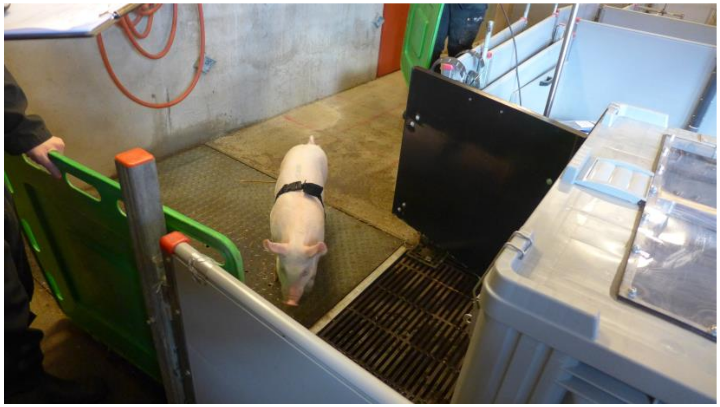 Animals 10 02210 g003 Animals 10 02210 g003