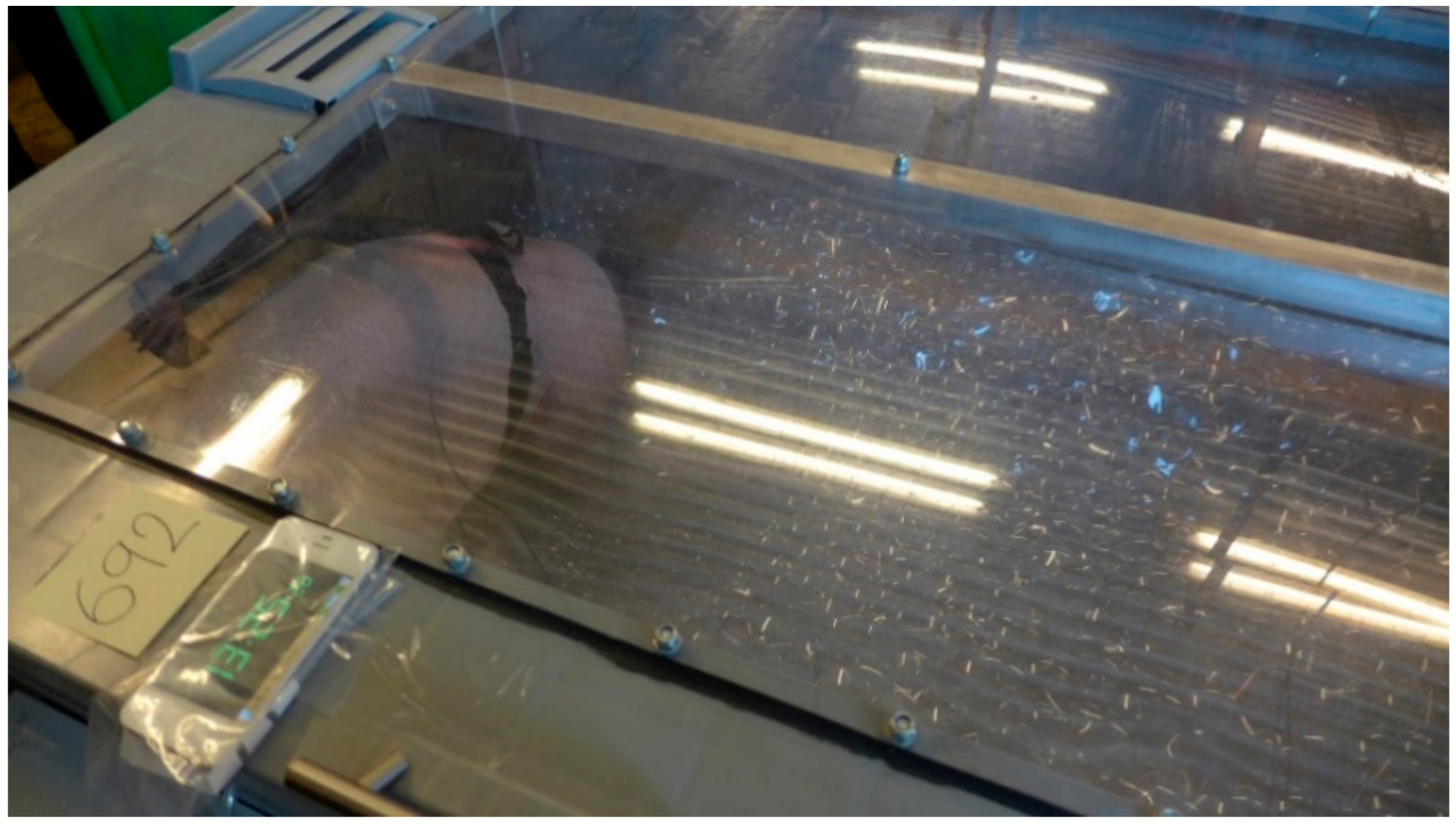 Animals 10 02210 g004 Animals 10 02210 g004