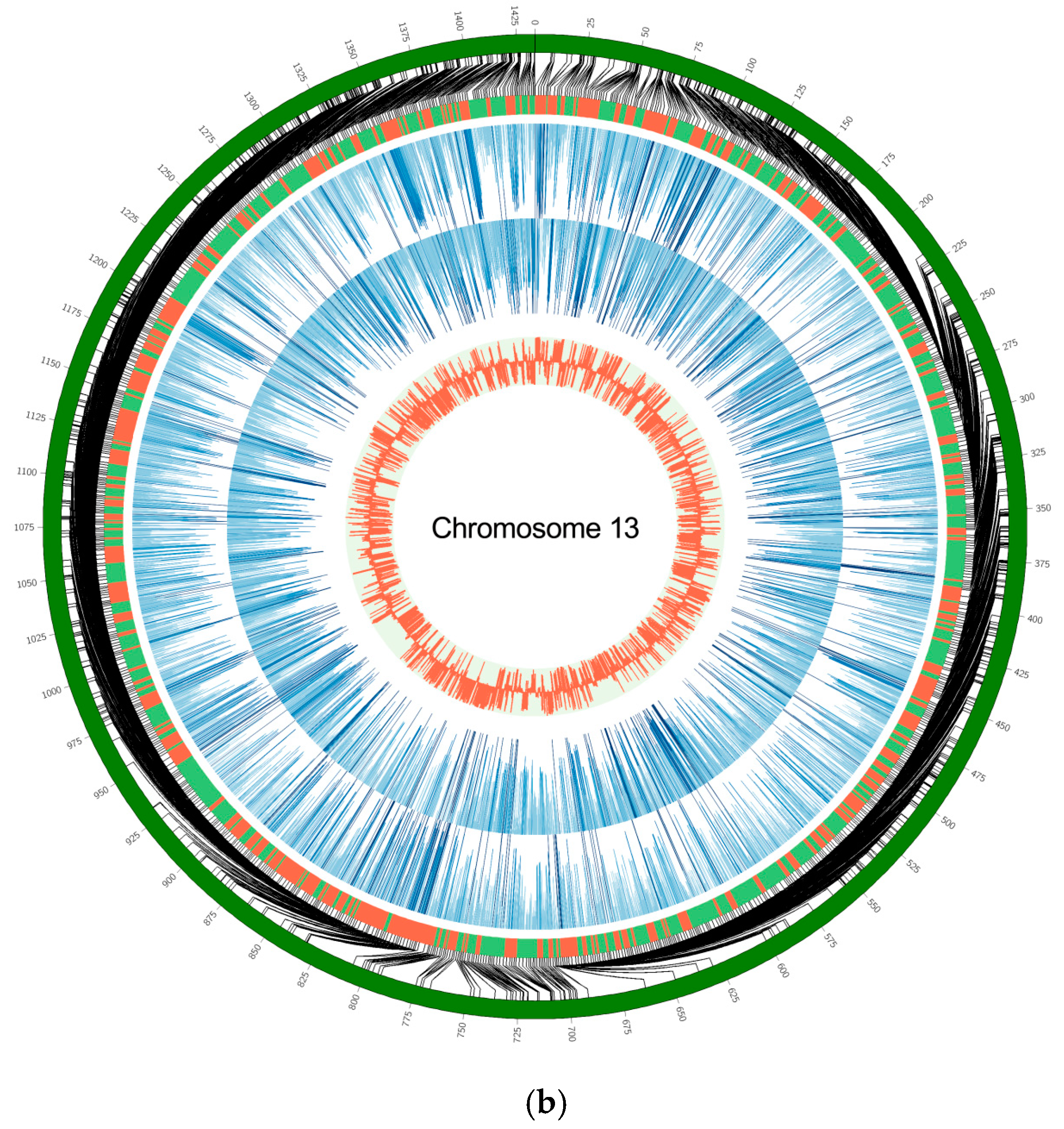 Animals 10 02213 g002b Animals 10 02213 g002b
