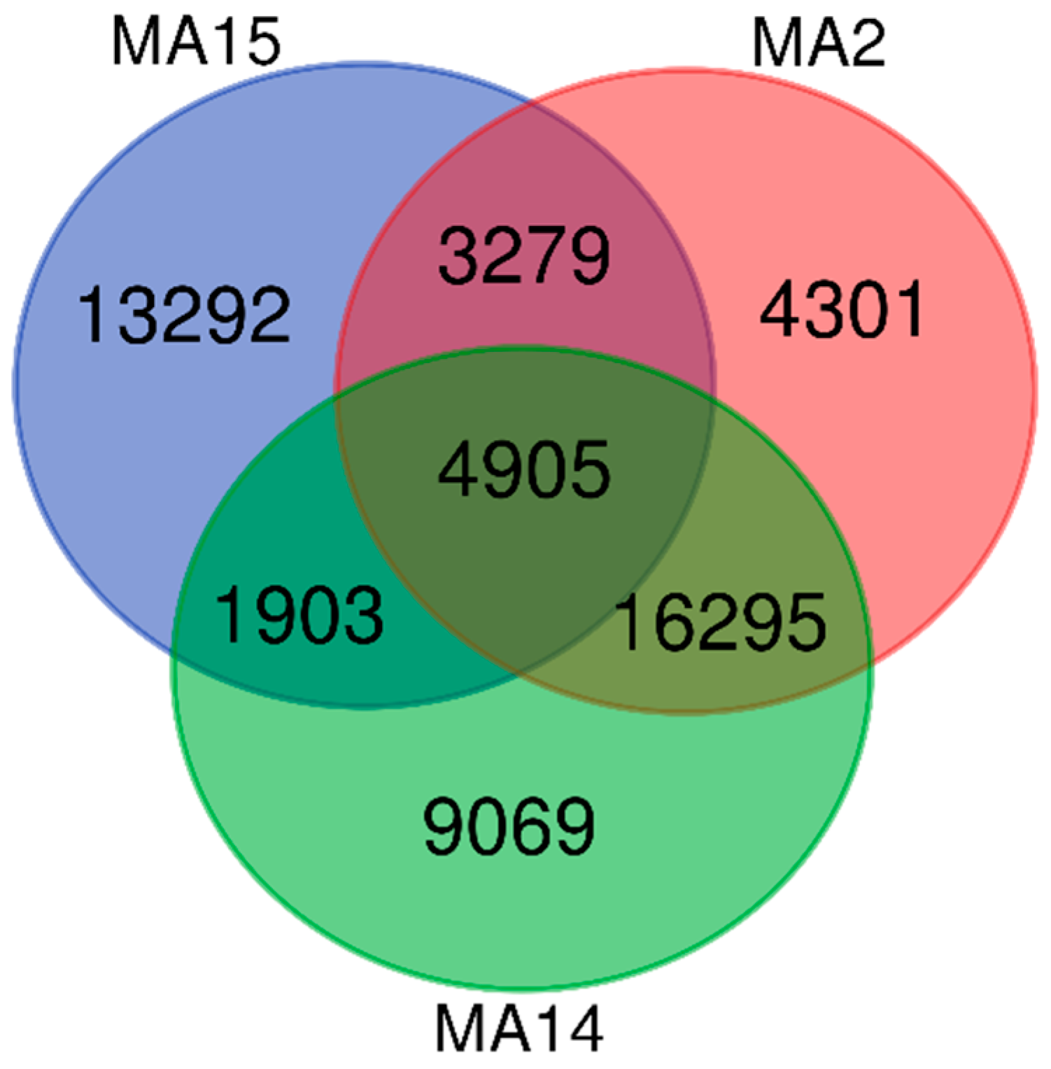 Animals 10 02215 g006 Animals 10 02215 g006