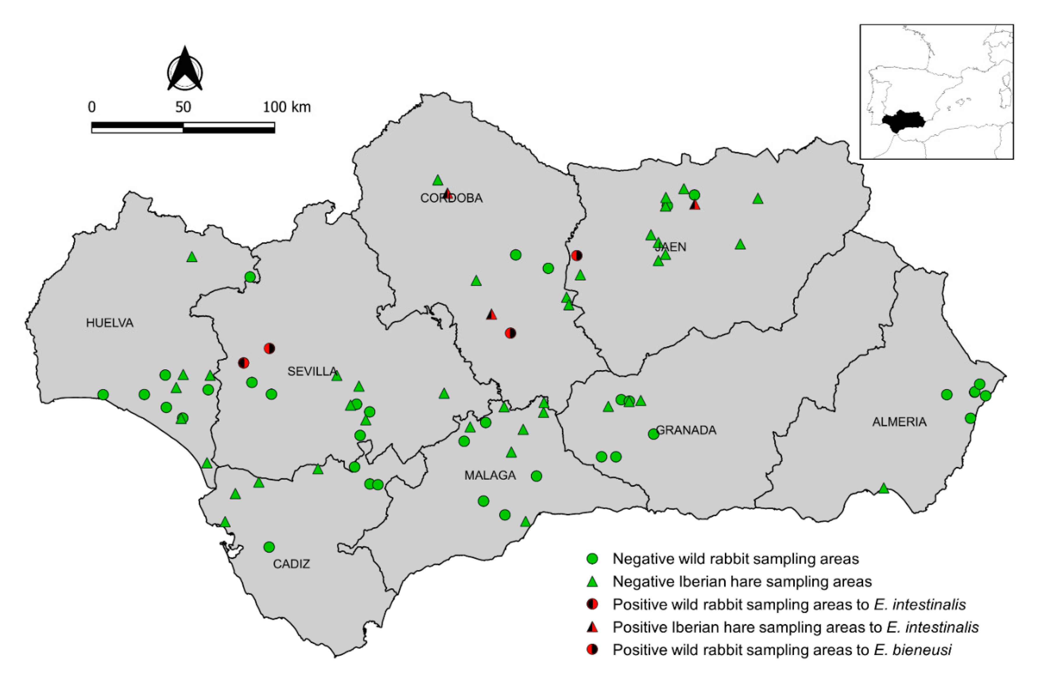 Animals 10 02218 g001