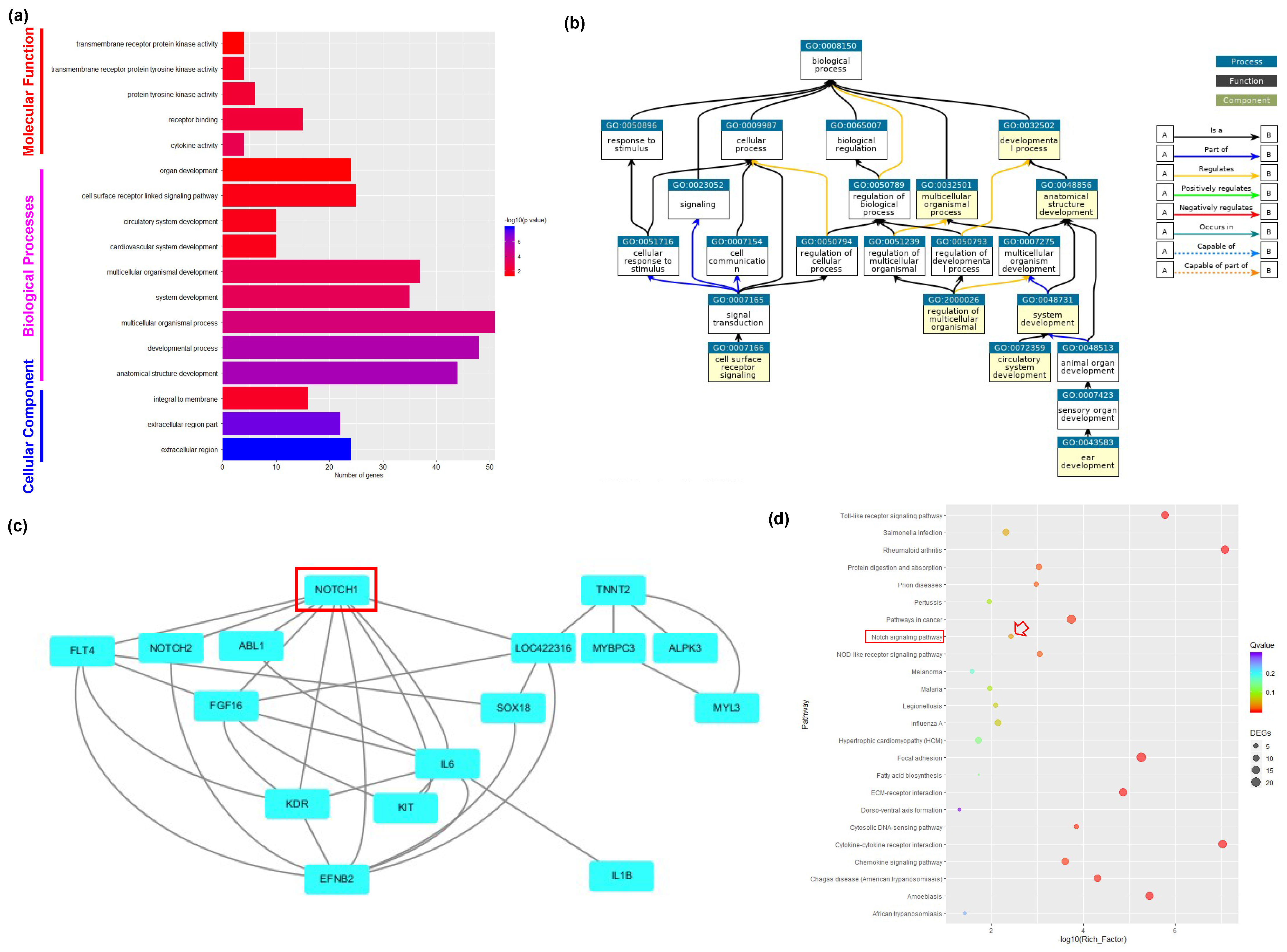 Animals 10 02228 g003