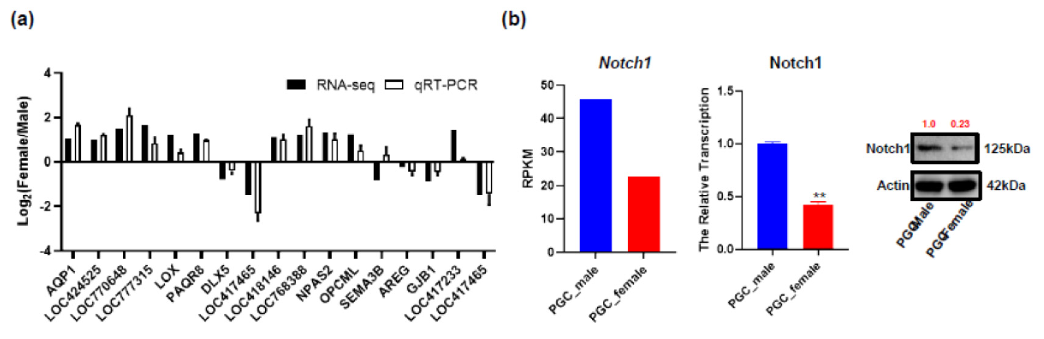 Animals 10 02228 g004