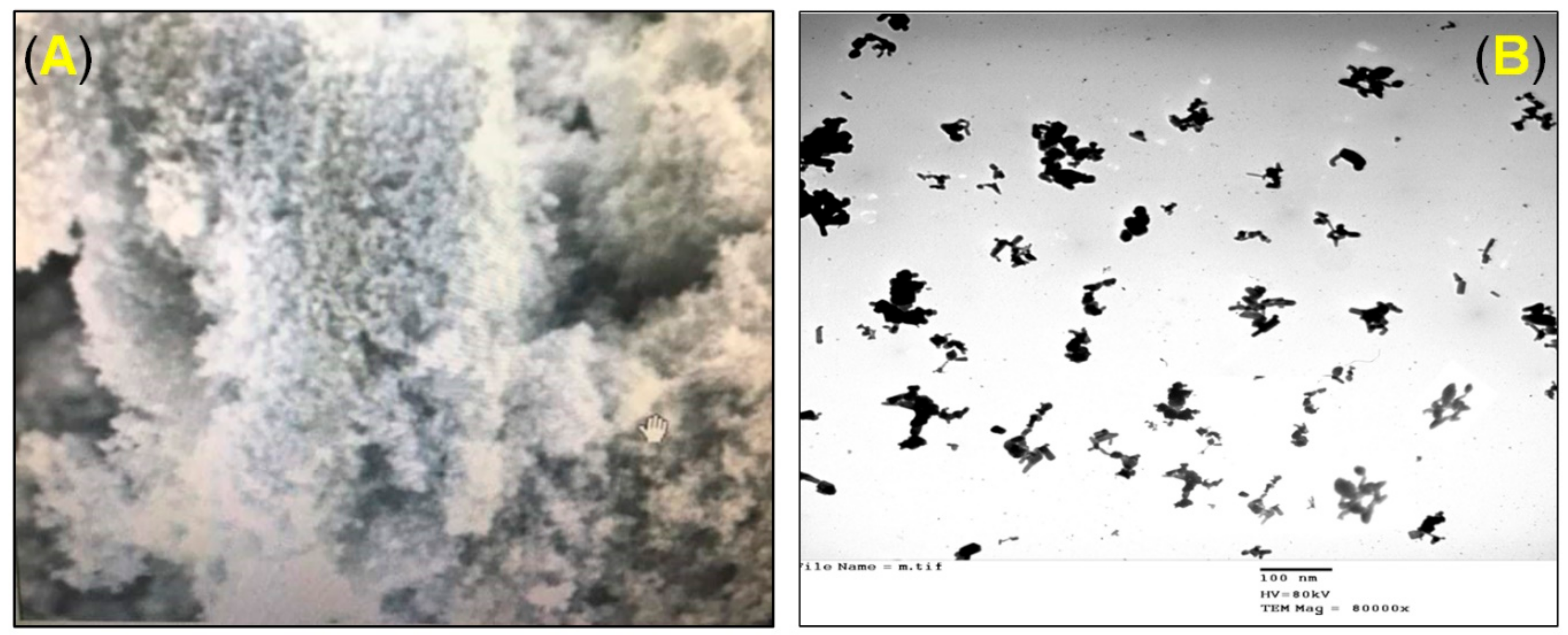 Animals 10 02234 g001 Animals 10 02234 g001