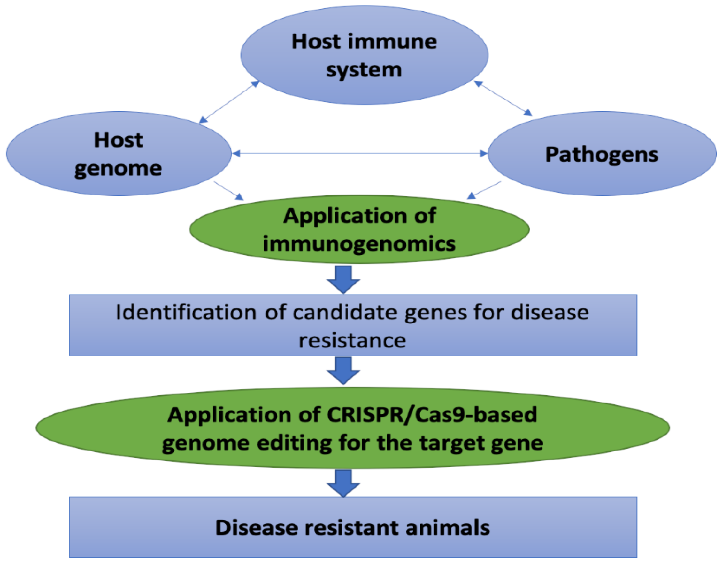 Animals | Free Full-Text | Improvement of Disease Resistance in Livestock:  Application of Immunogenomics and CRISPR/Cas9 Technology