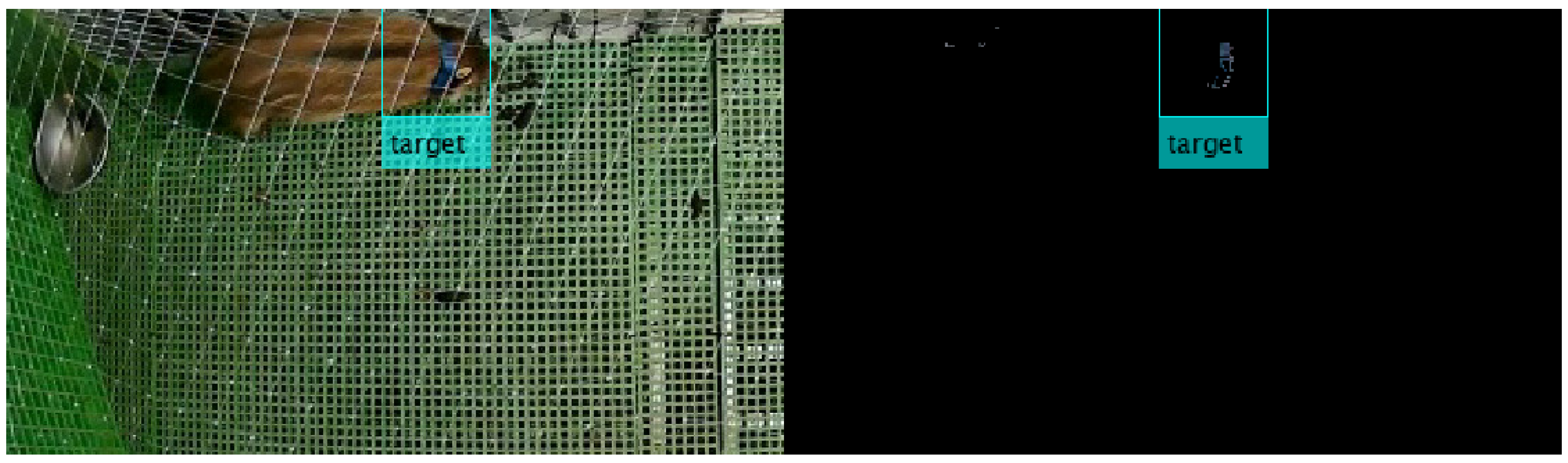 Animals 10 02241 g002