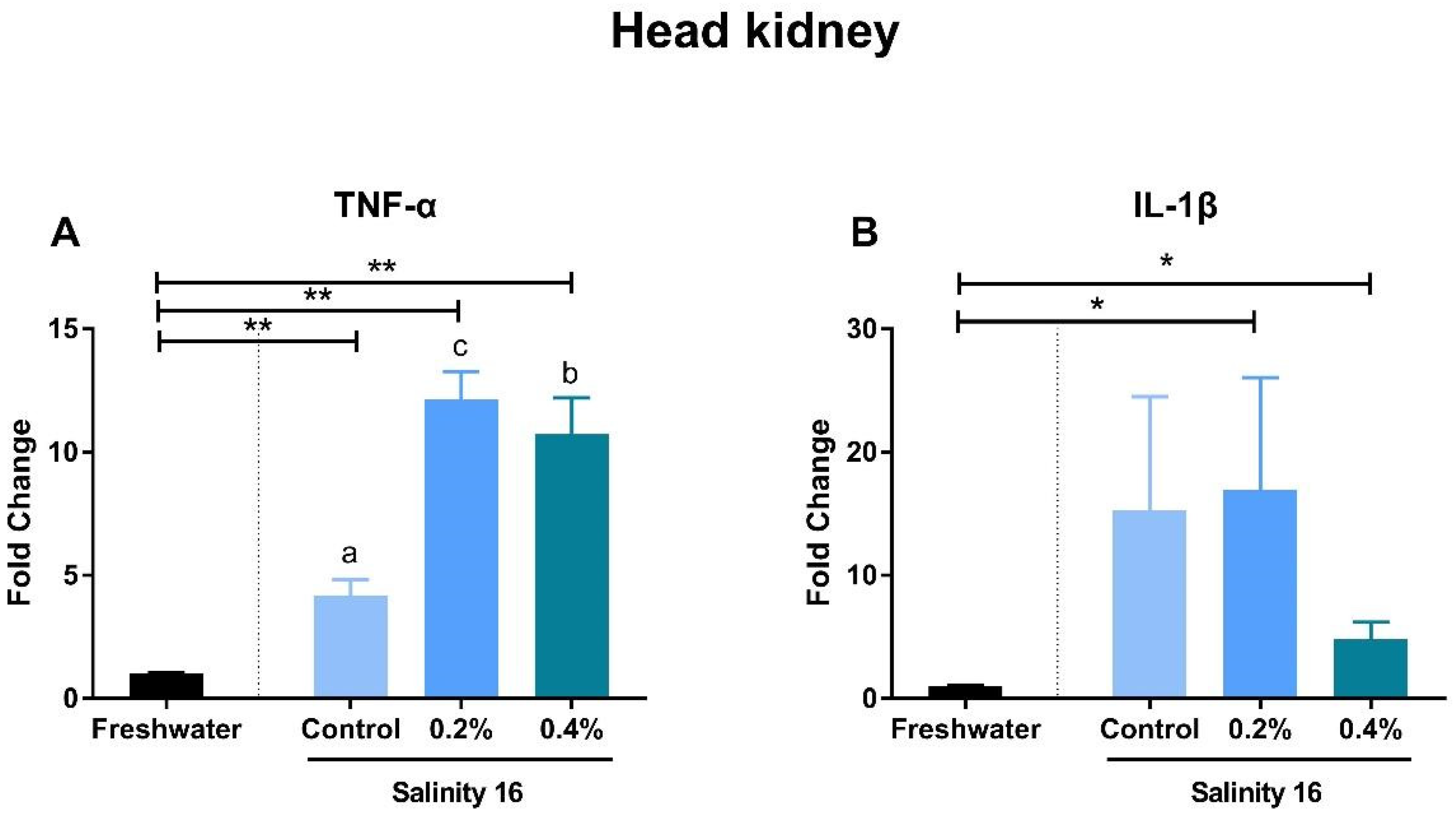 Animals 10 02243 g004