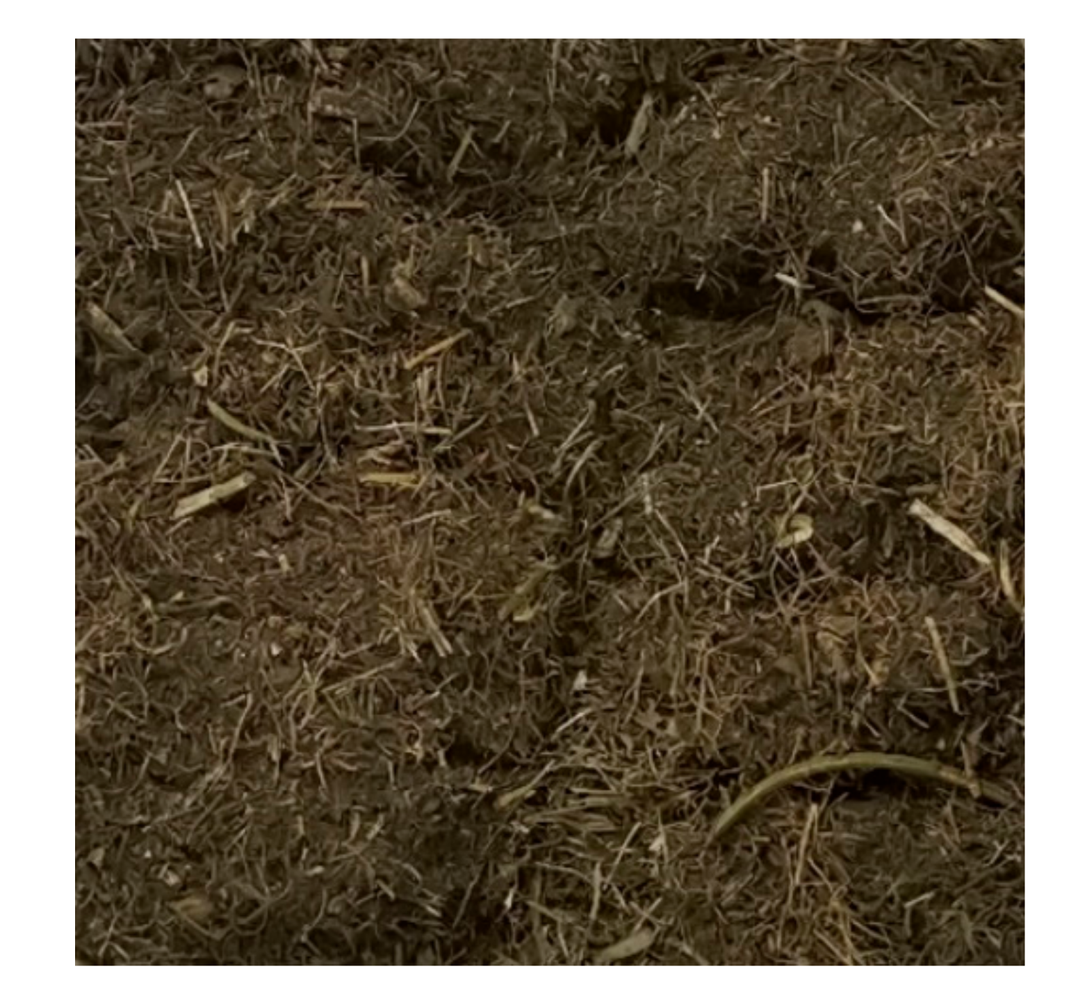 Animals 10 02247 g001 Animals 10 02247 g001