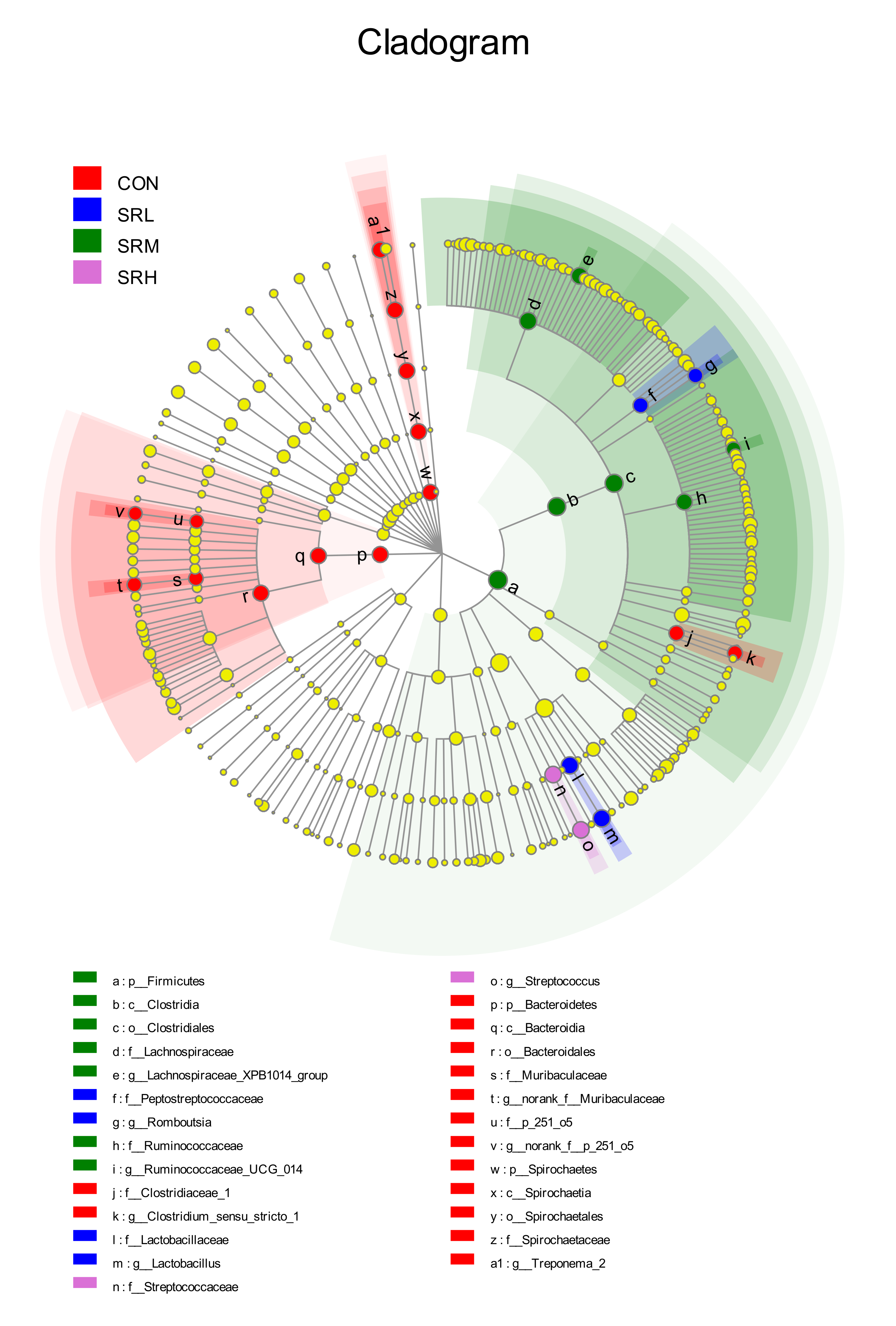 Animals 10 02247 g010 Animals 10 02247 g010
