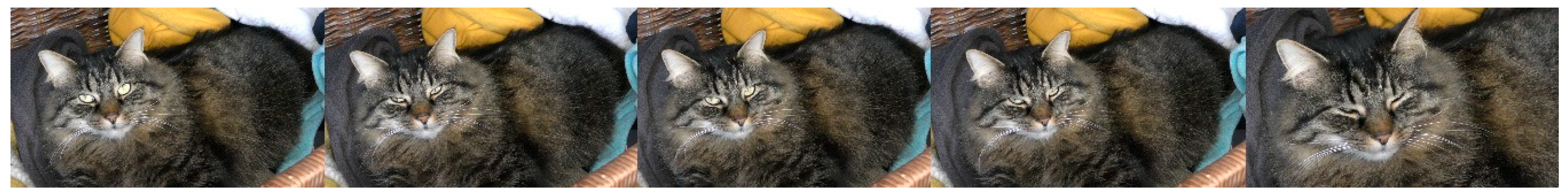 Animals 10 02256 g001