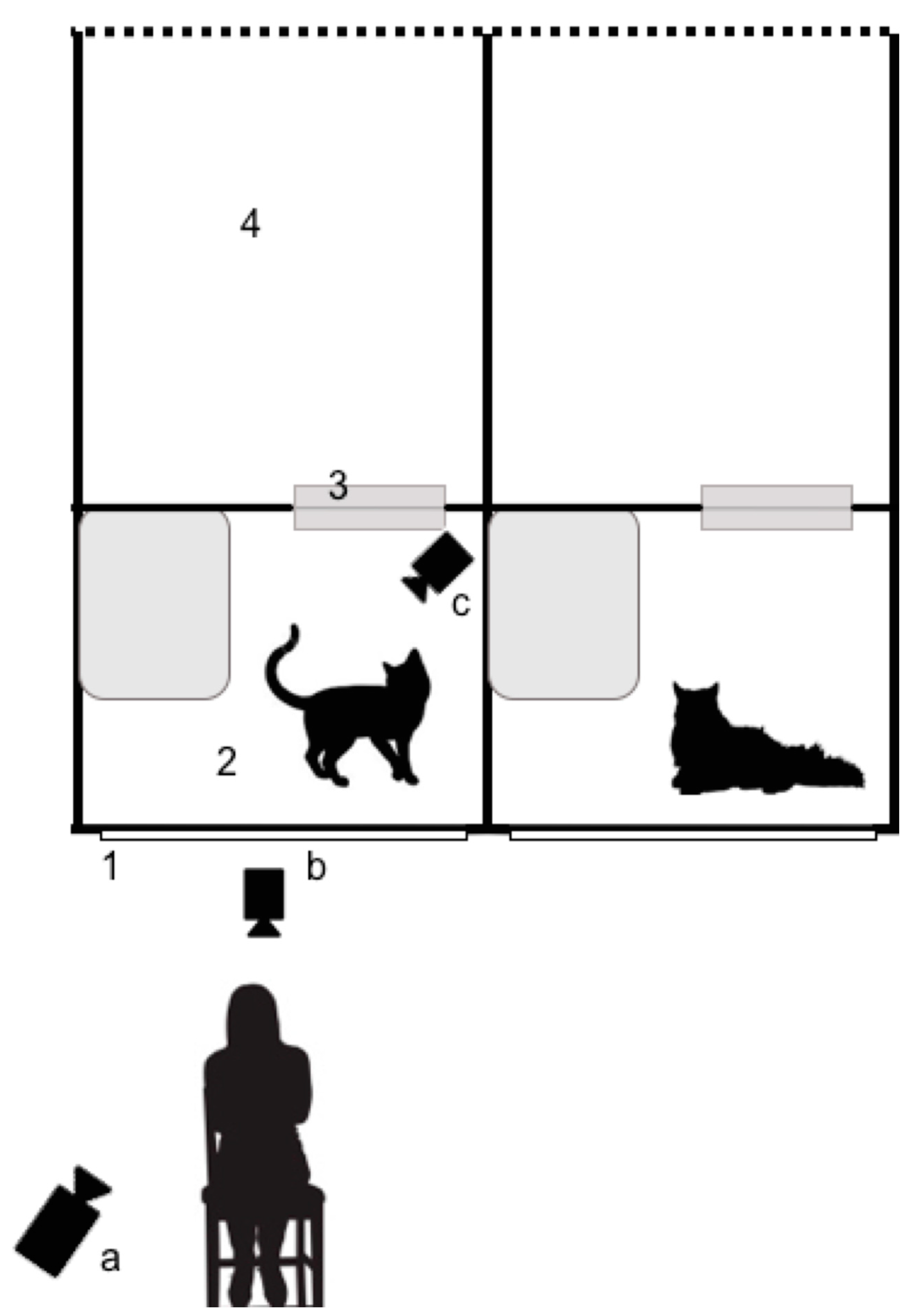 Animals 10 02256 g002