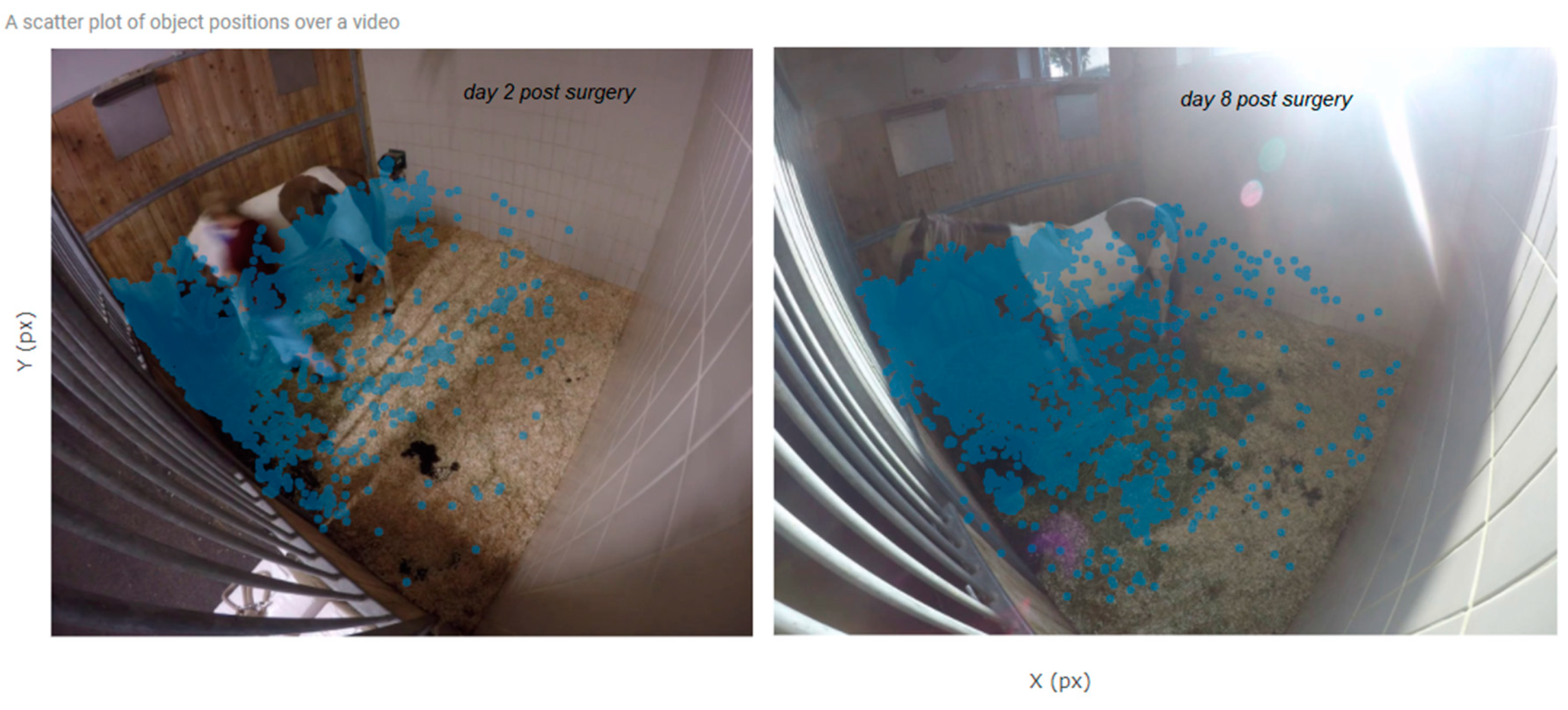 Animals 10 02258 g003