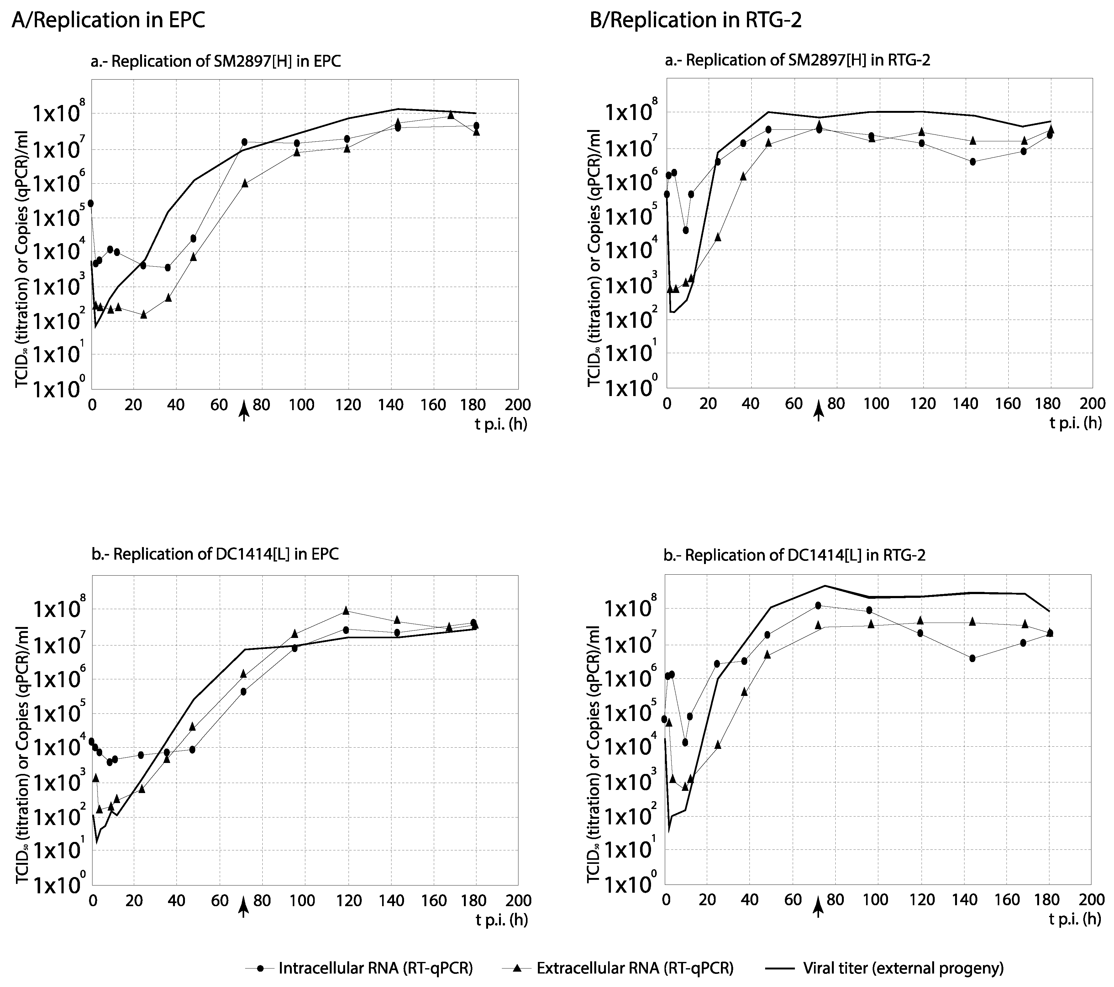 Animals 10 02264 g004 Animals 10 02264 g004