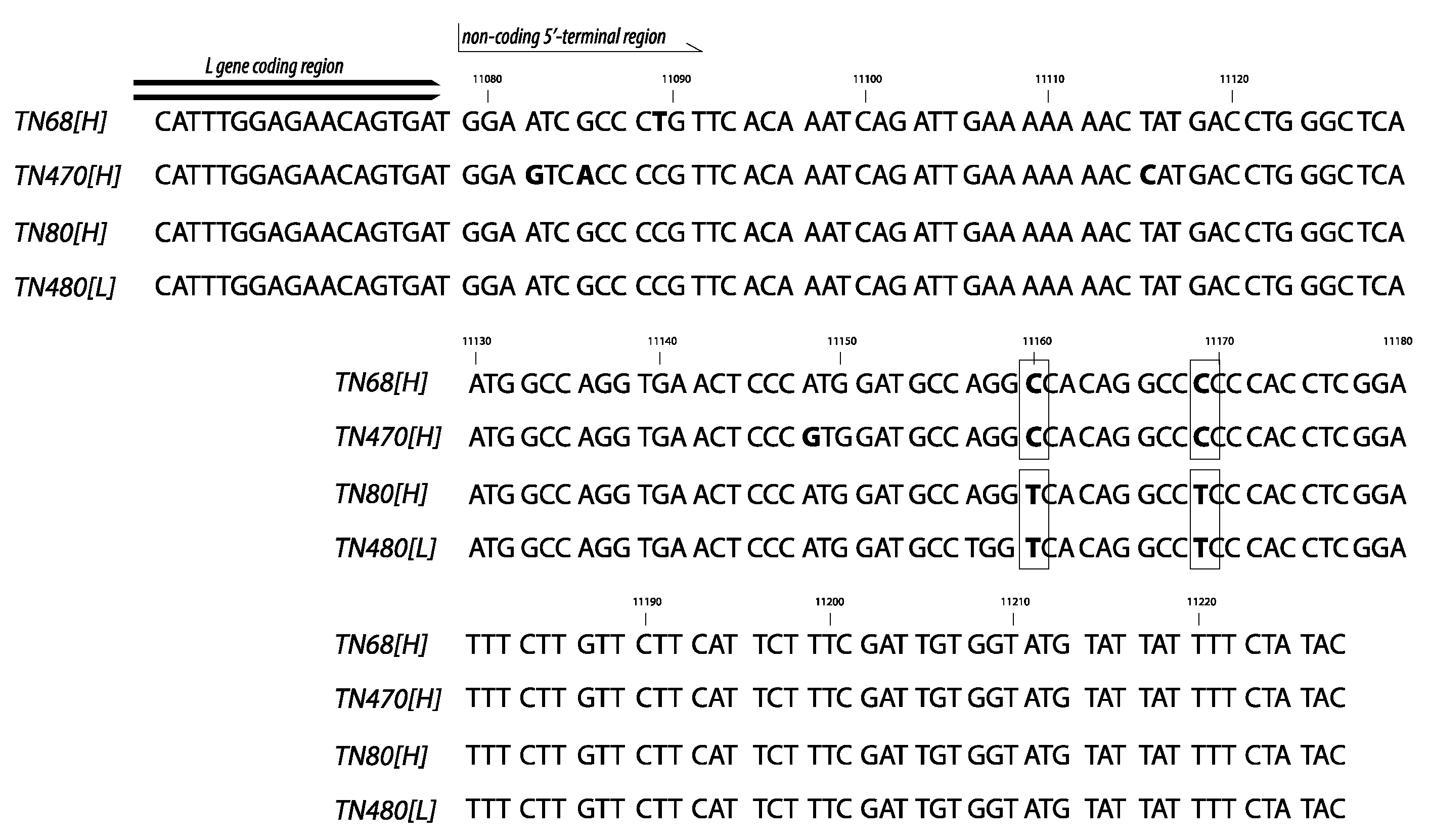 Animals 10 02264 g011 Animals 10 02264 g011