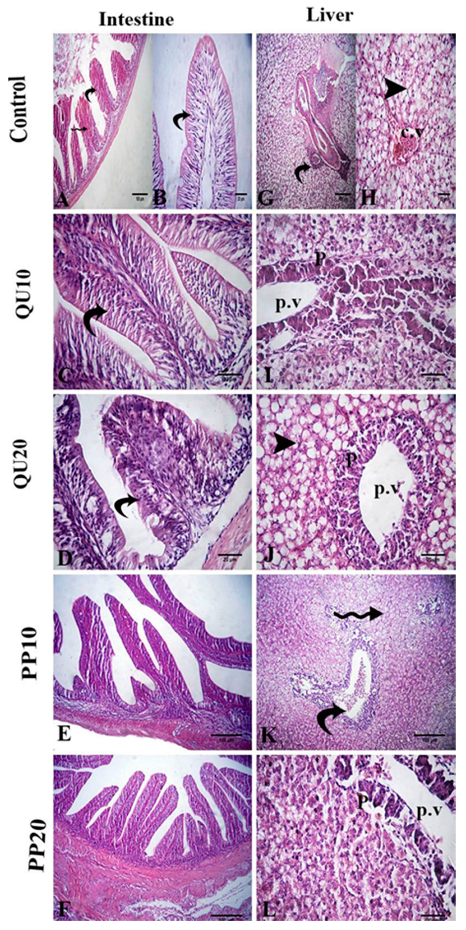 Animals 10 02266 g006 Animals 10 02266 g006