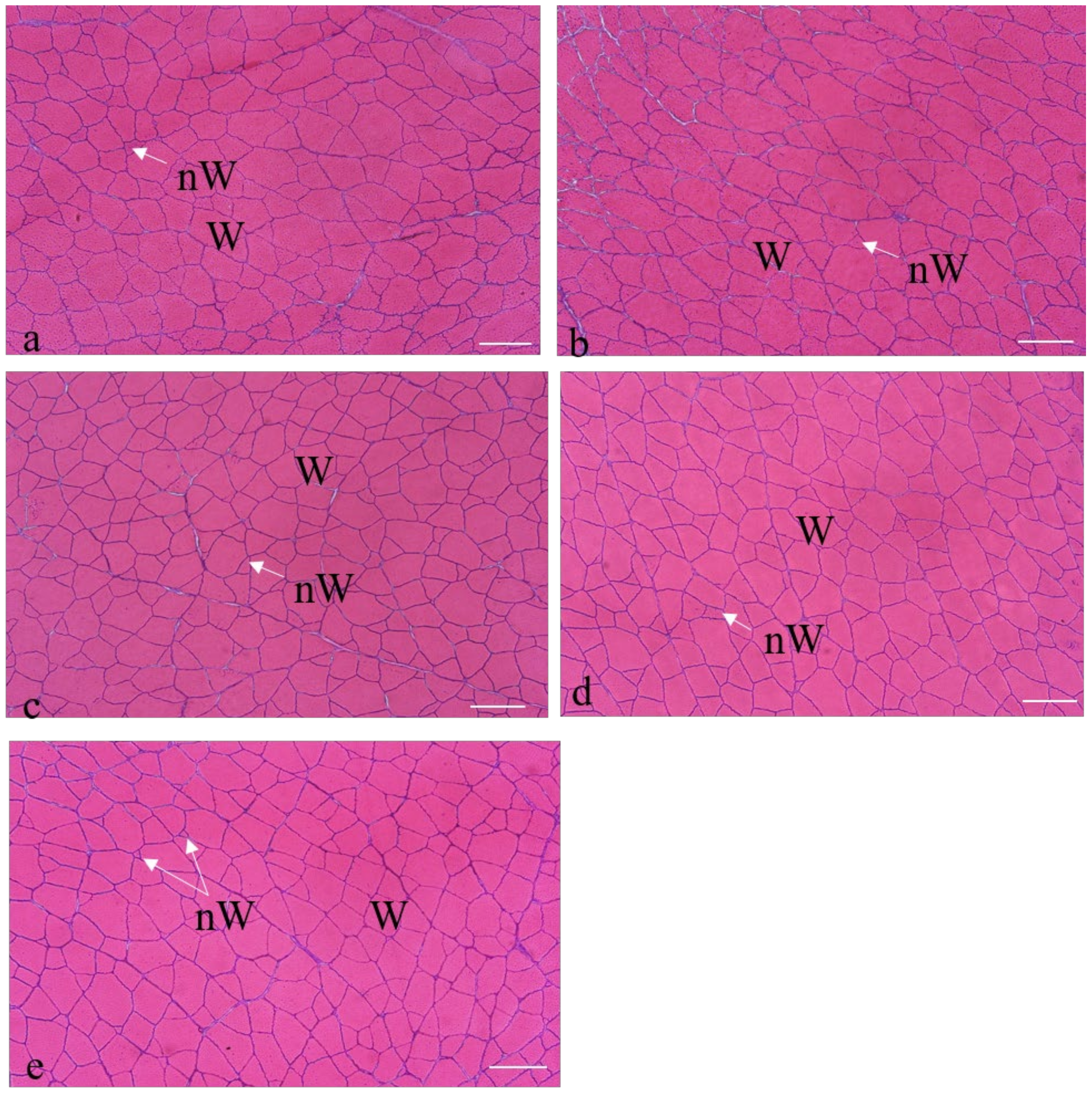 Animals 10 02270 g003 Animals 10 02270 g003