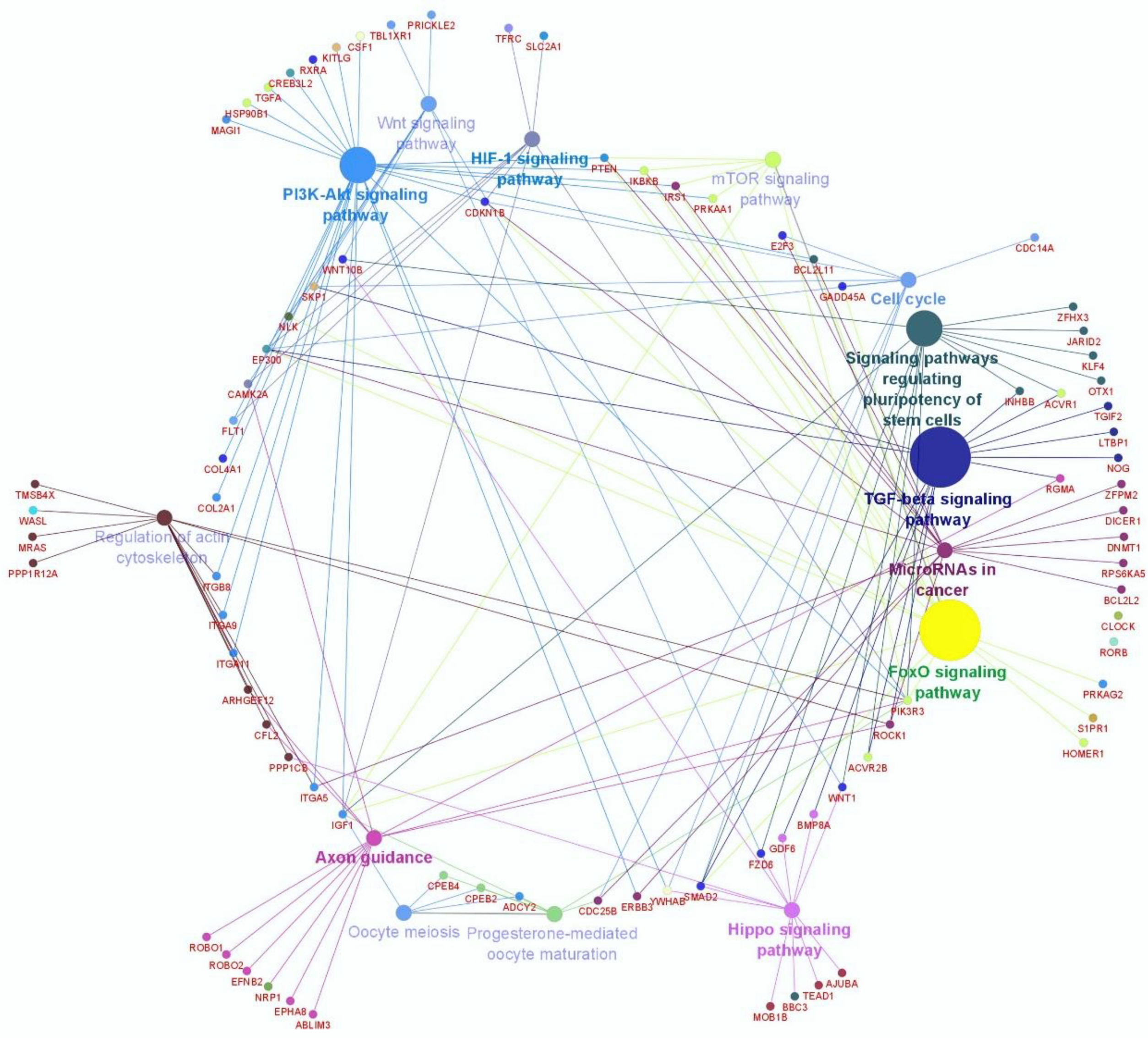 Animals 10 02289 g002 Animals 10 02289 g002