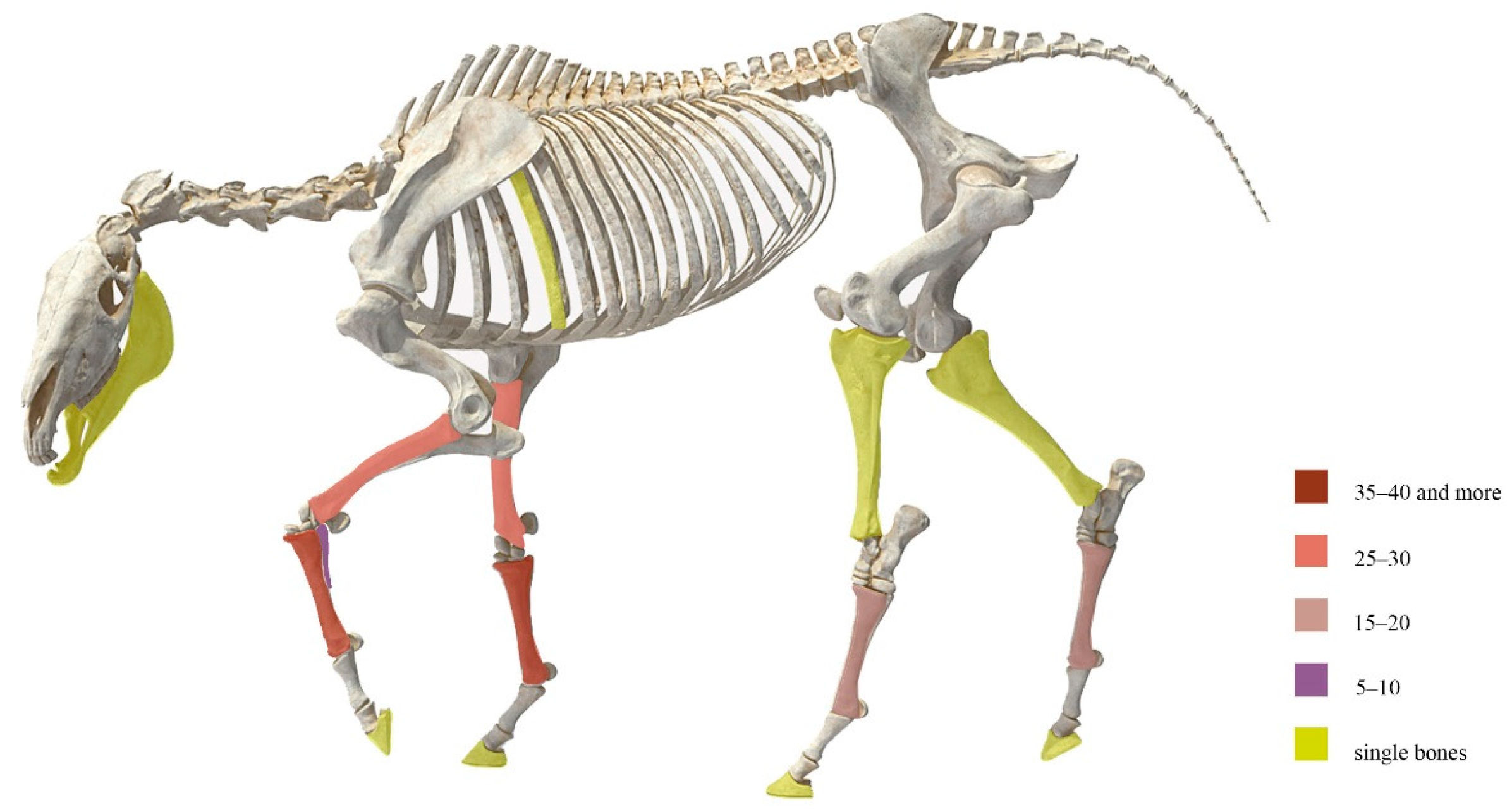 Animals 10 02294 g002 Animals 10 02294 g002