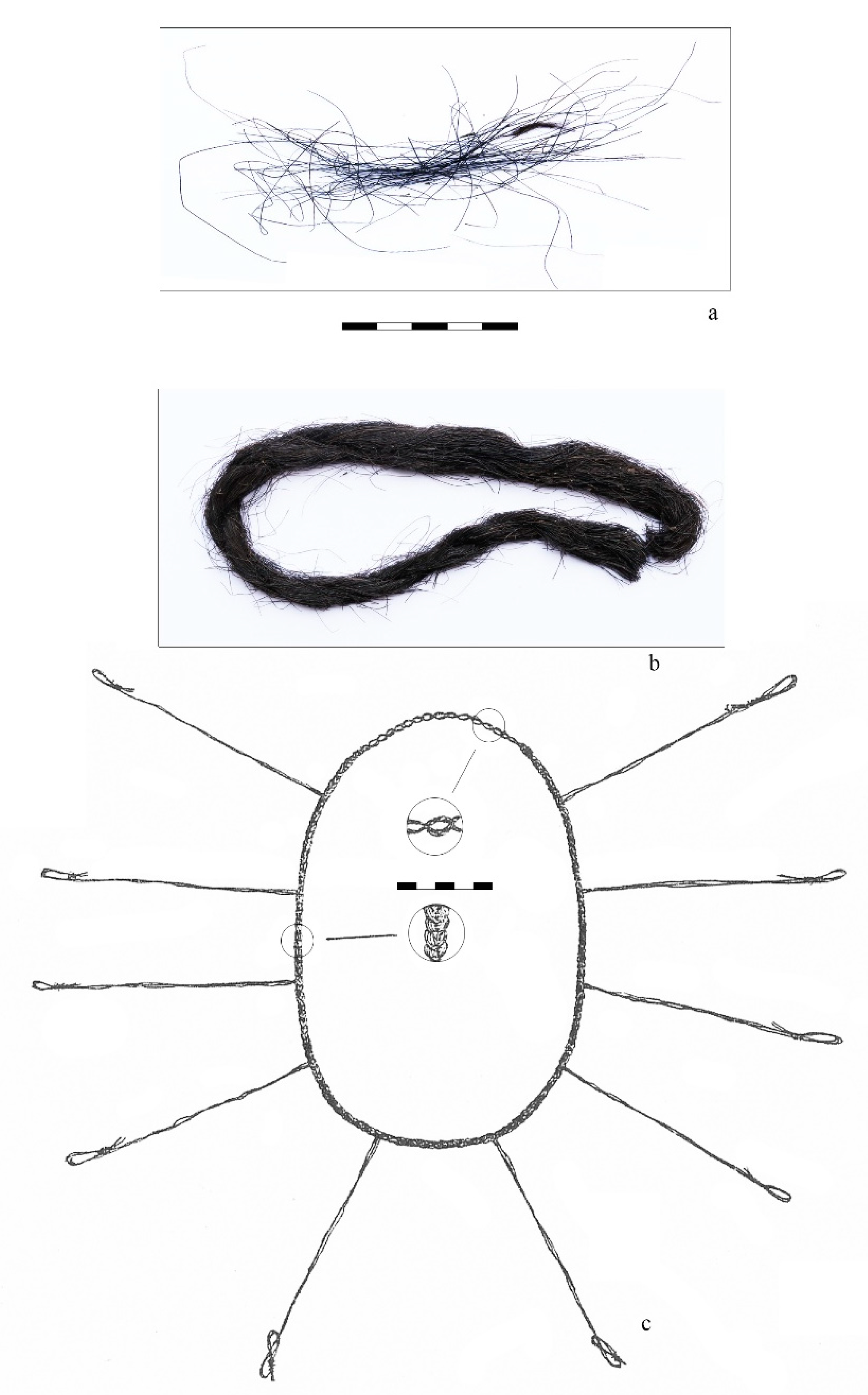 Animals 10 02294 g005 Animals 10 02294 g005