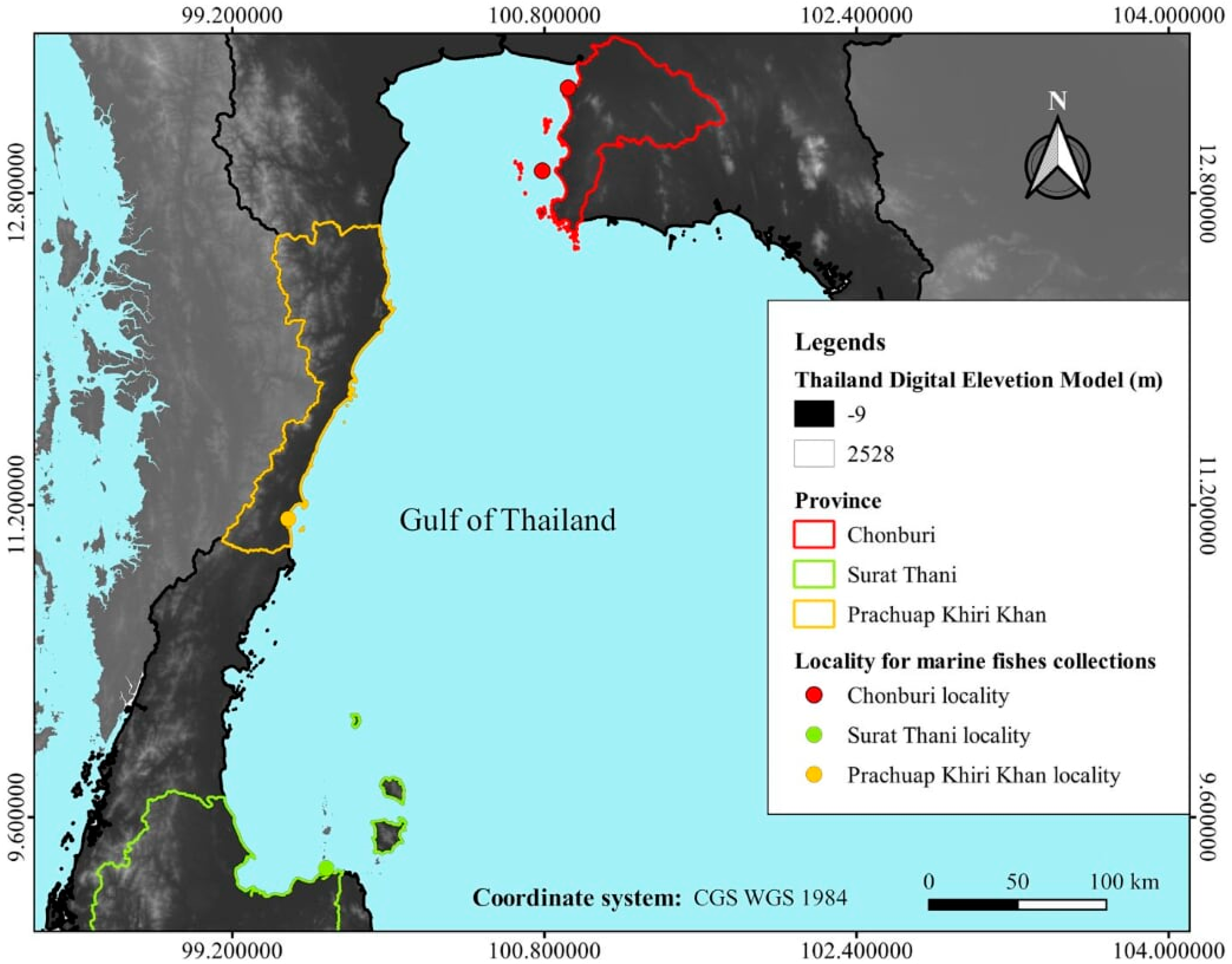 A compiled key to the recent Stomatopoda of the Indo-West Pacific region