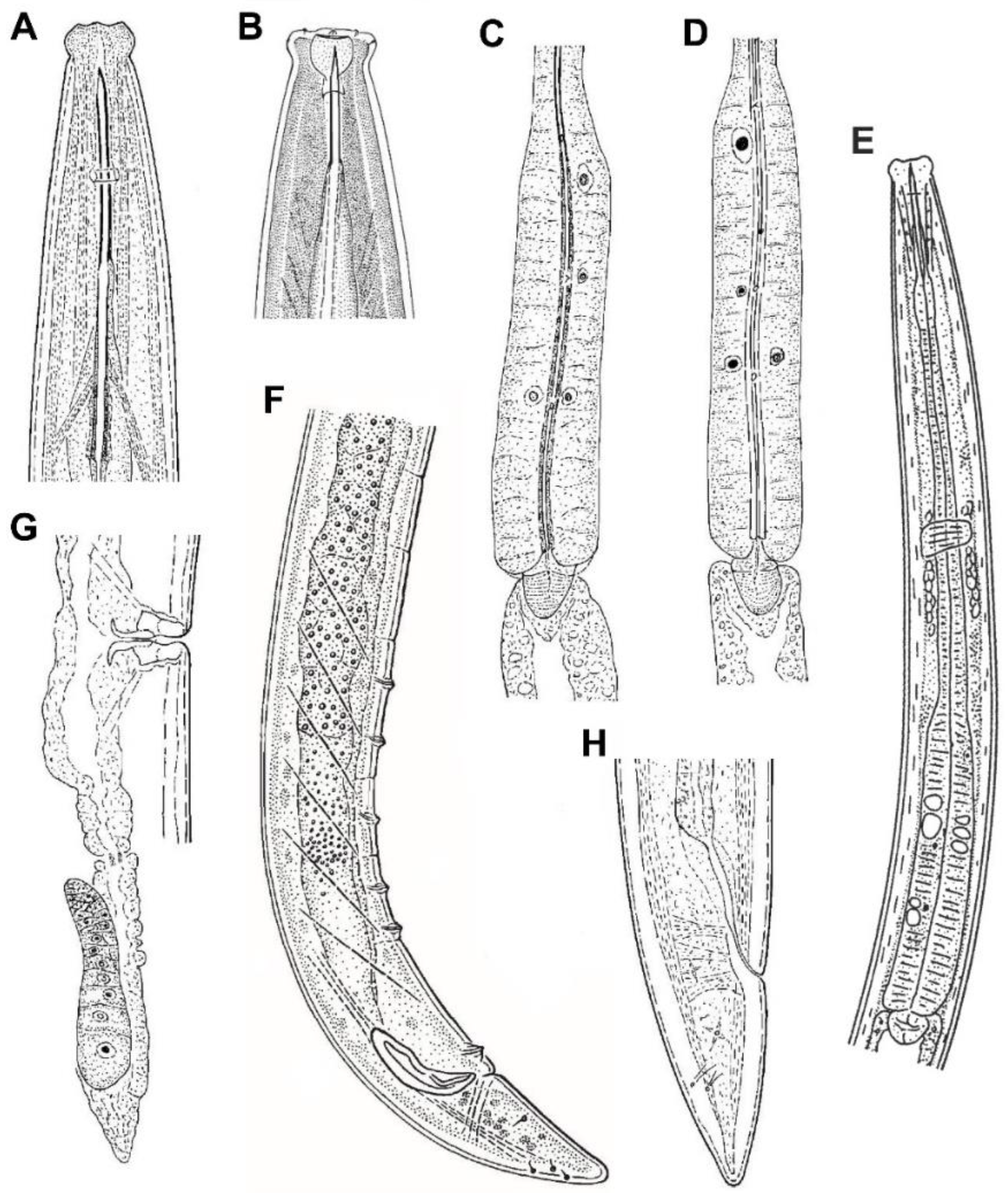 Animals 10 02300 g004 Animals 10 02300 g004