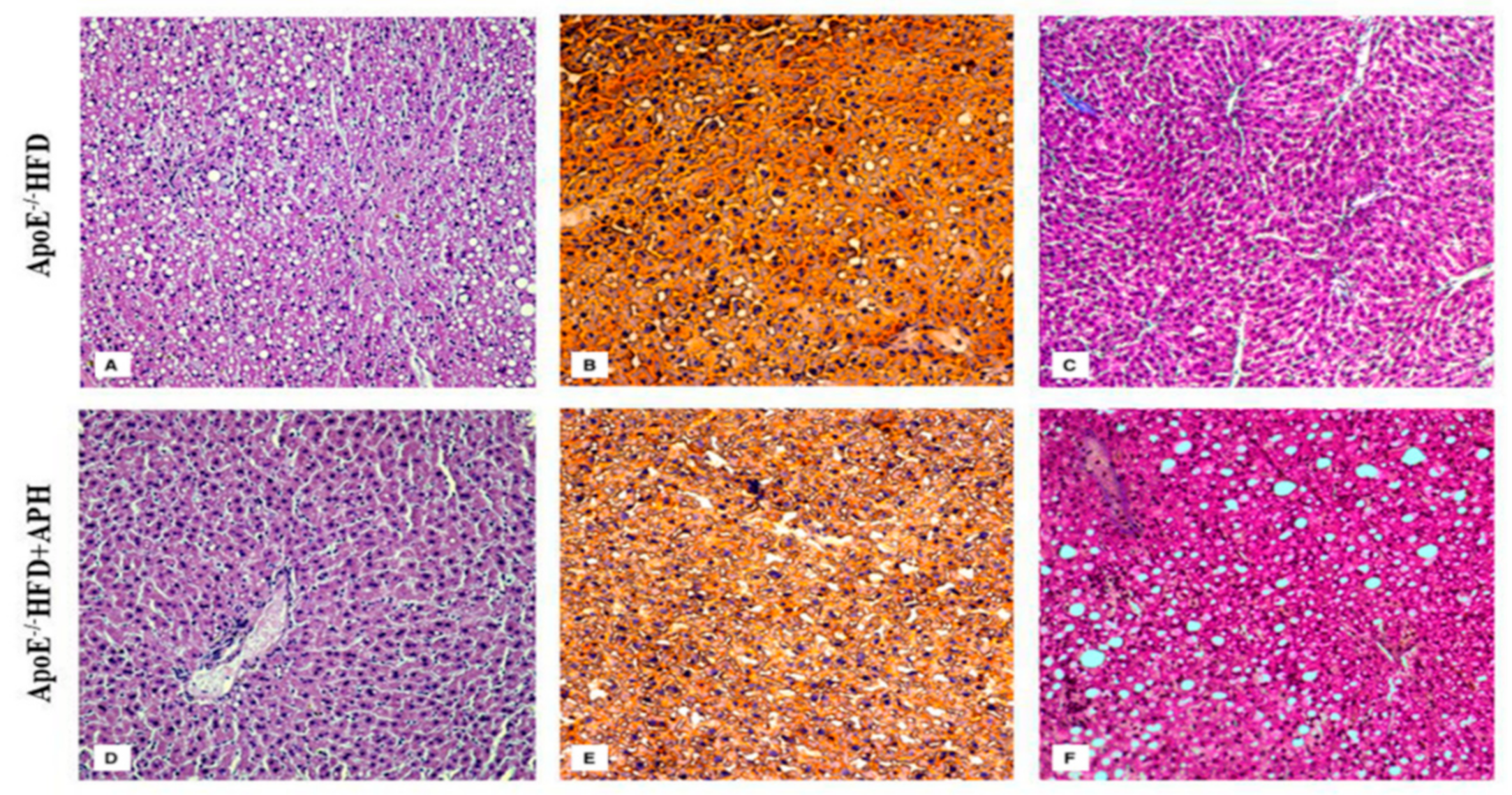 Animals 10 02303 g004 Animals 10 02303 g004