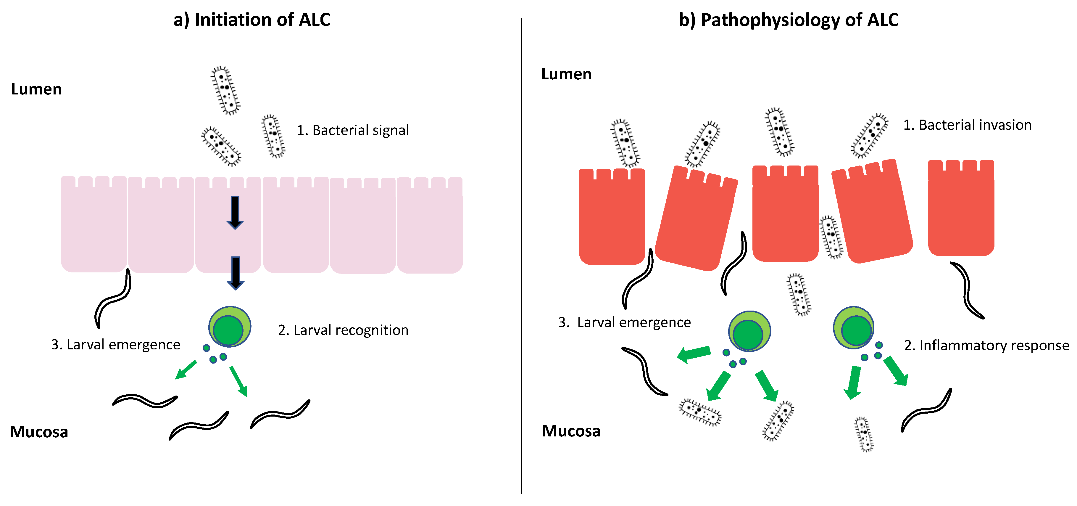 Animals 10 02309 g002 Animals 10 02309 g002