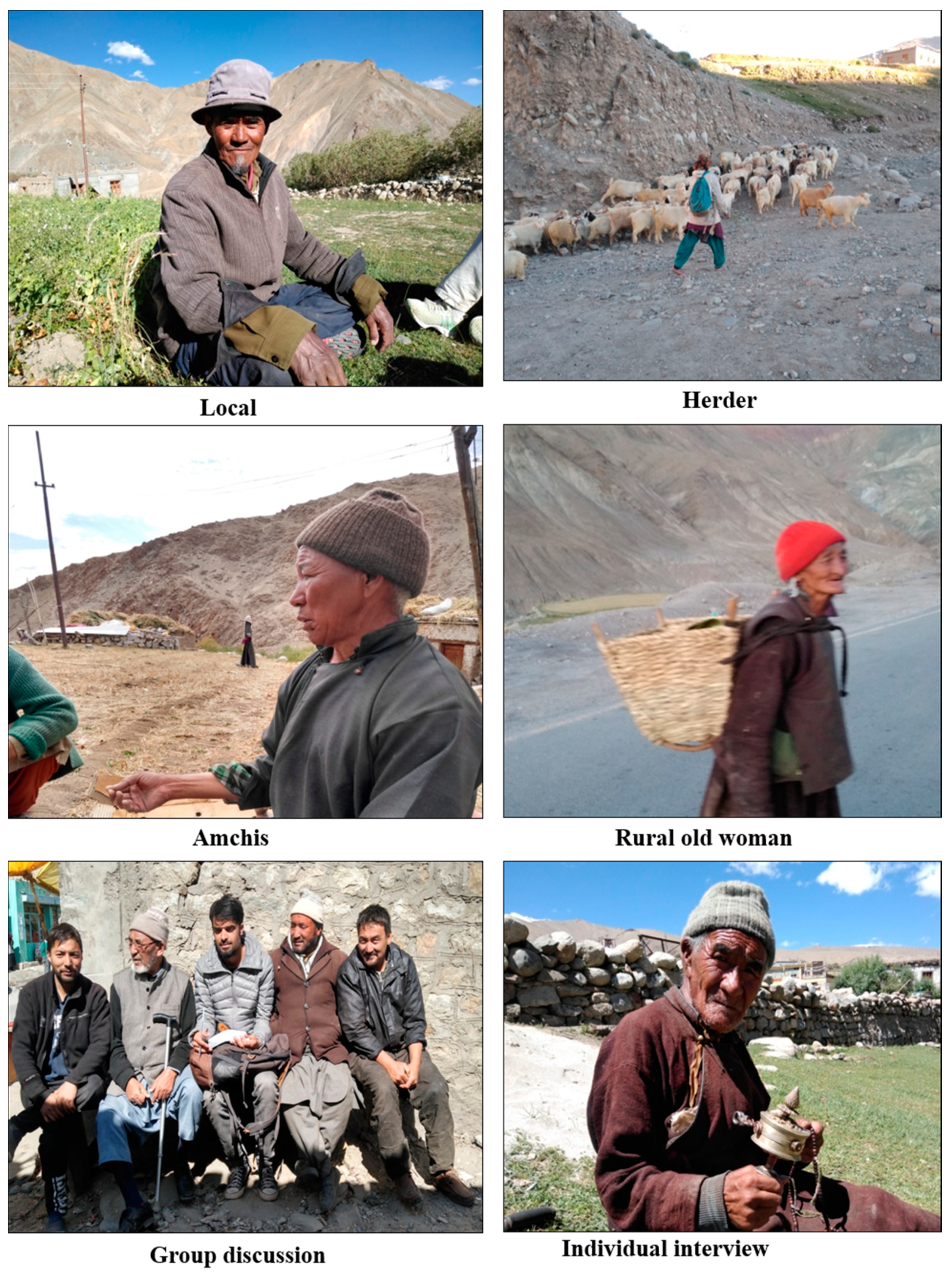 Animals 10 02317 g002 Animals 10 02317 g002