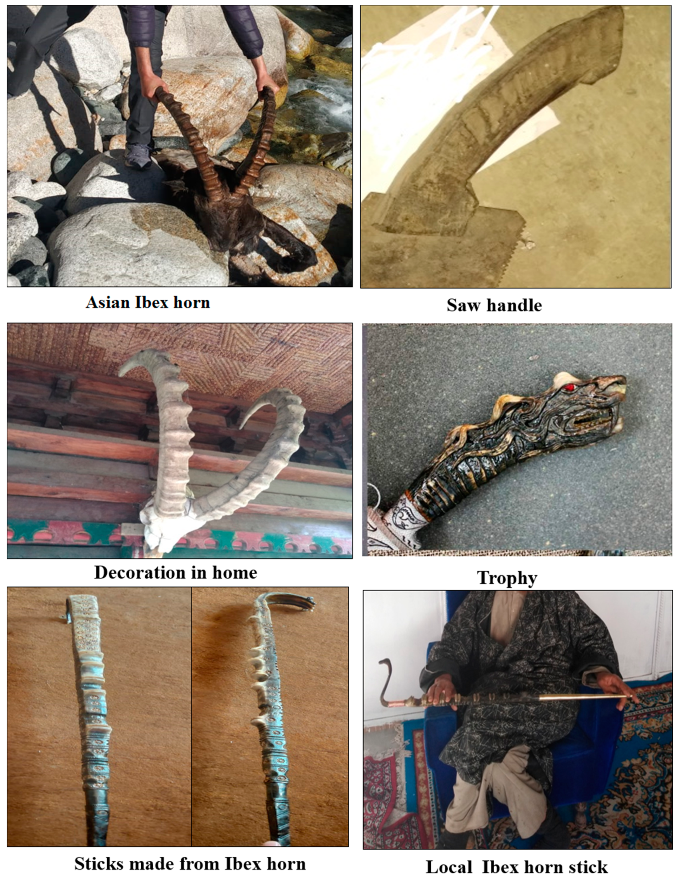 Animals 10 02317 g003 Animals 10 02317 g003