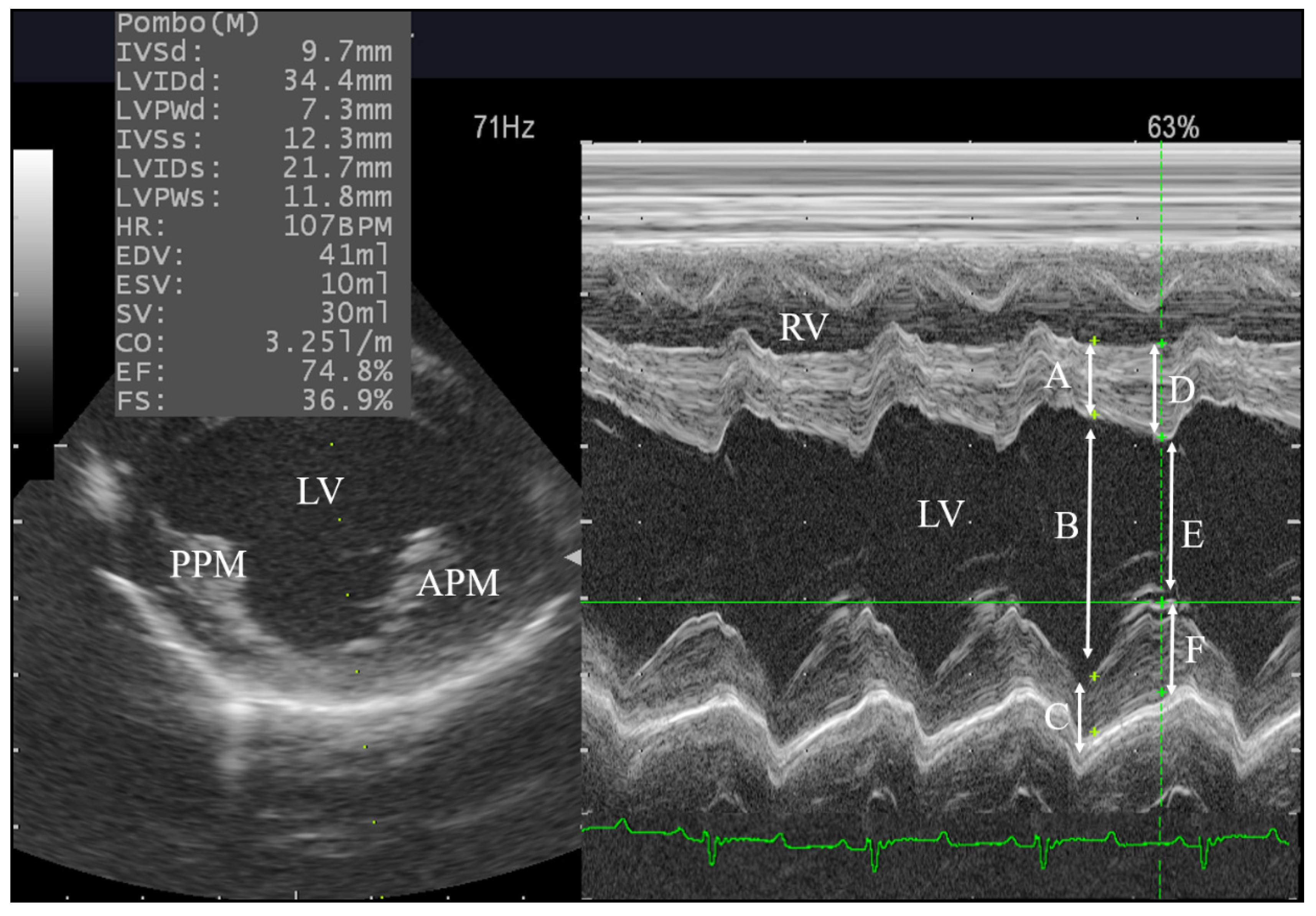 Animals 10 02320 g001