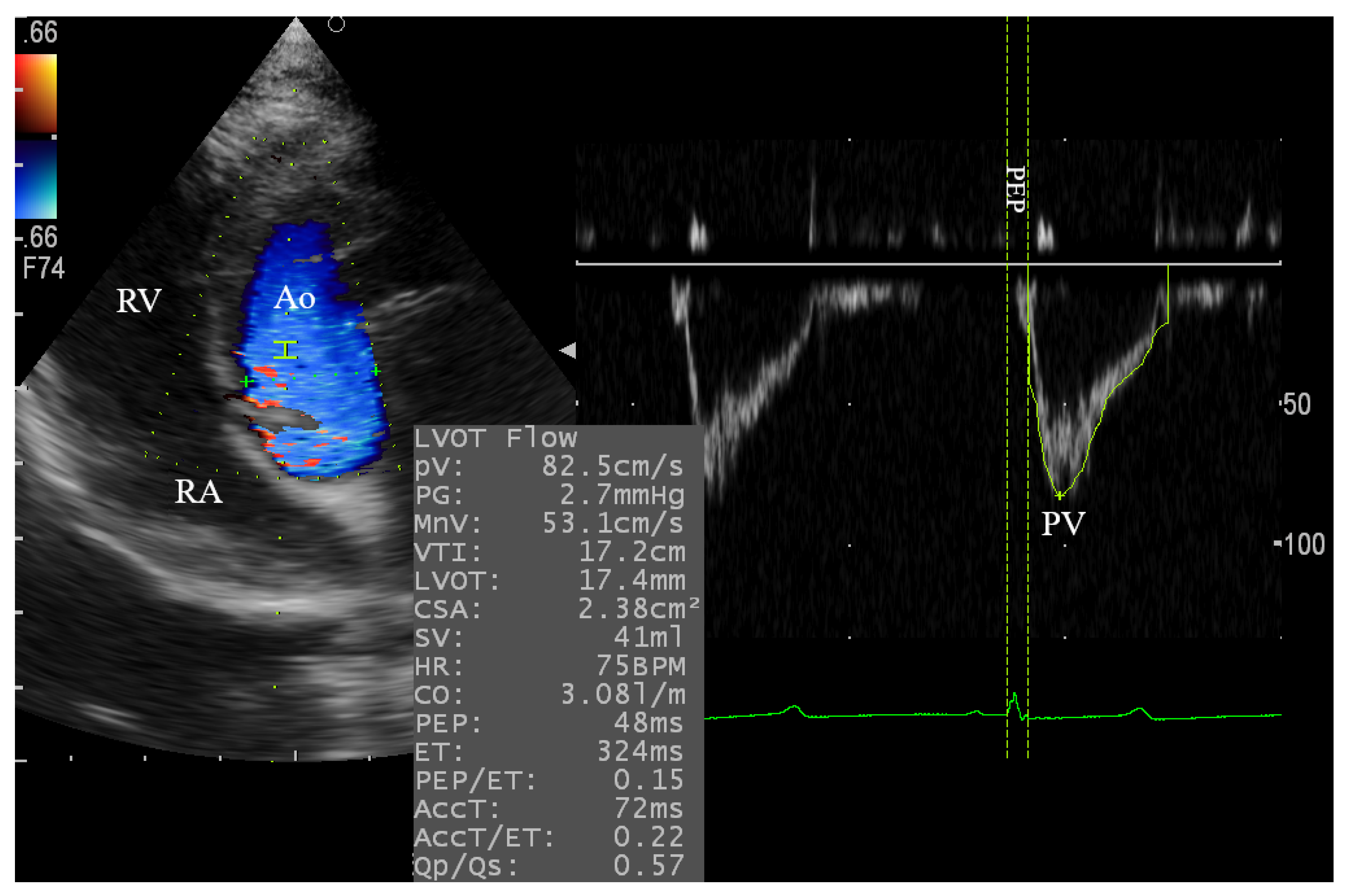 Animals 10 02320 g003