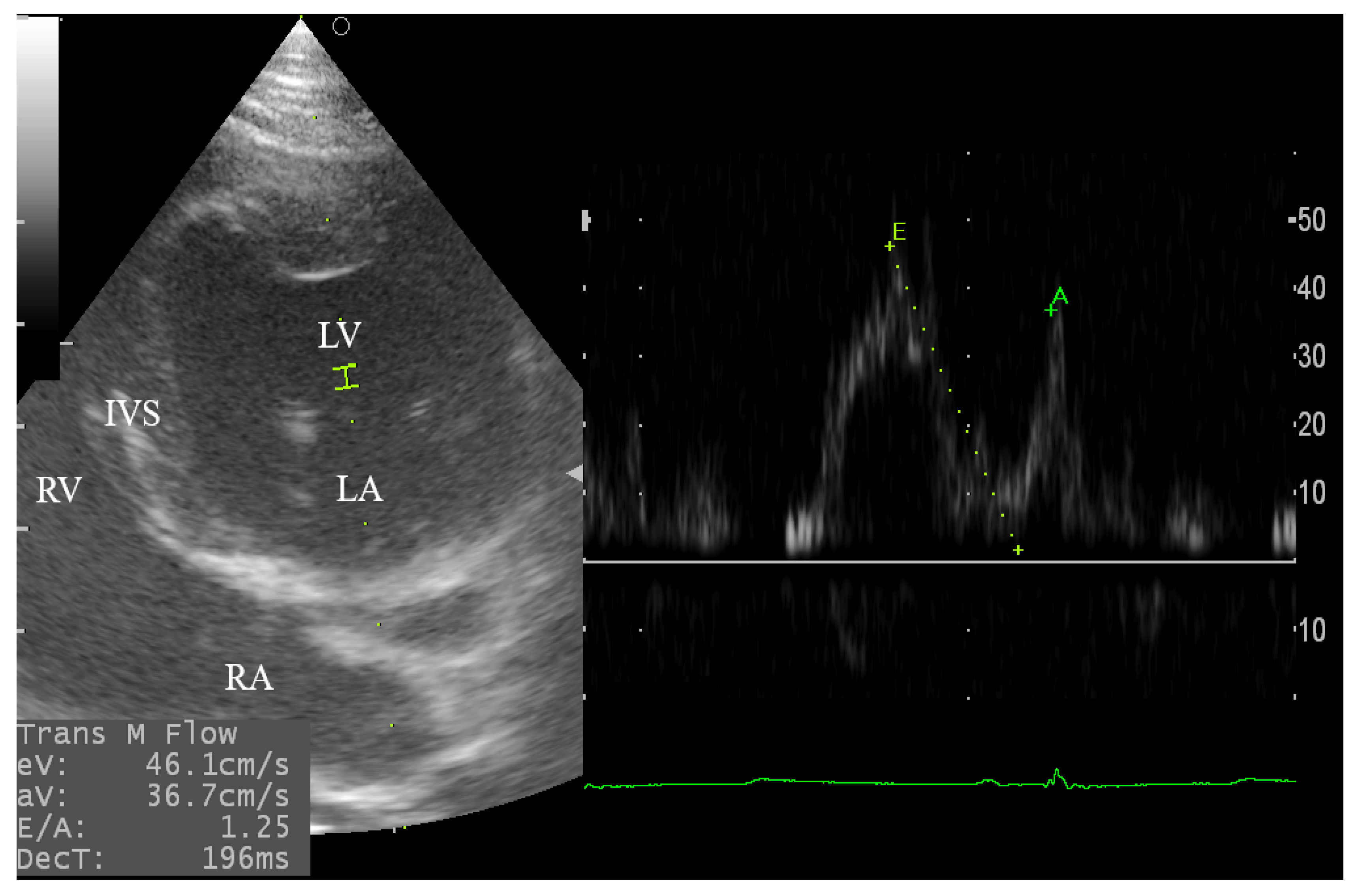 Animals 10 02320 g004