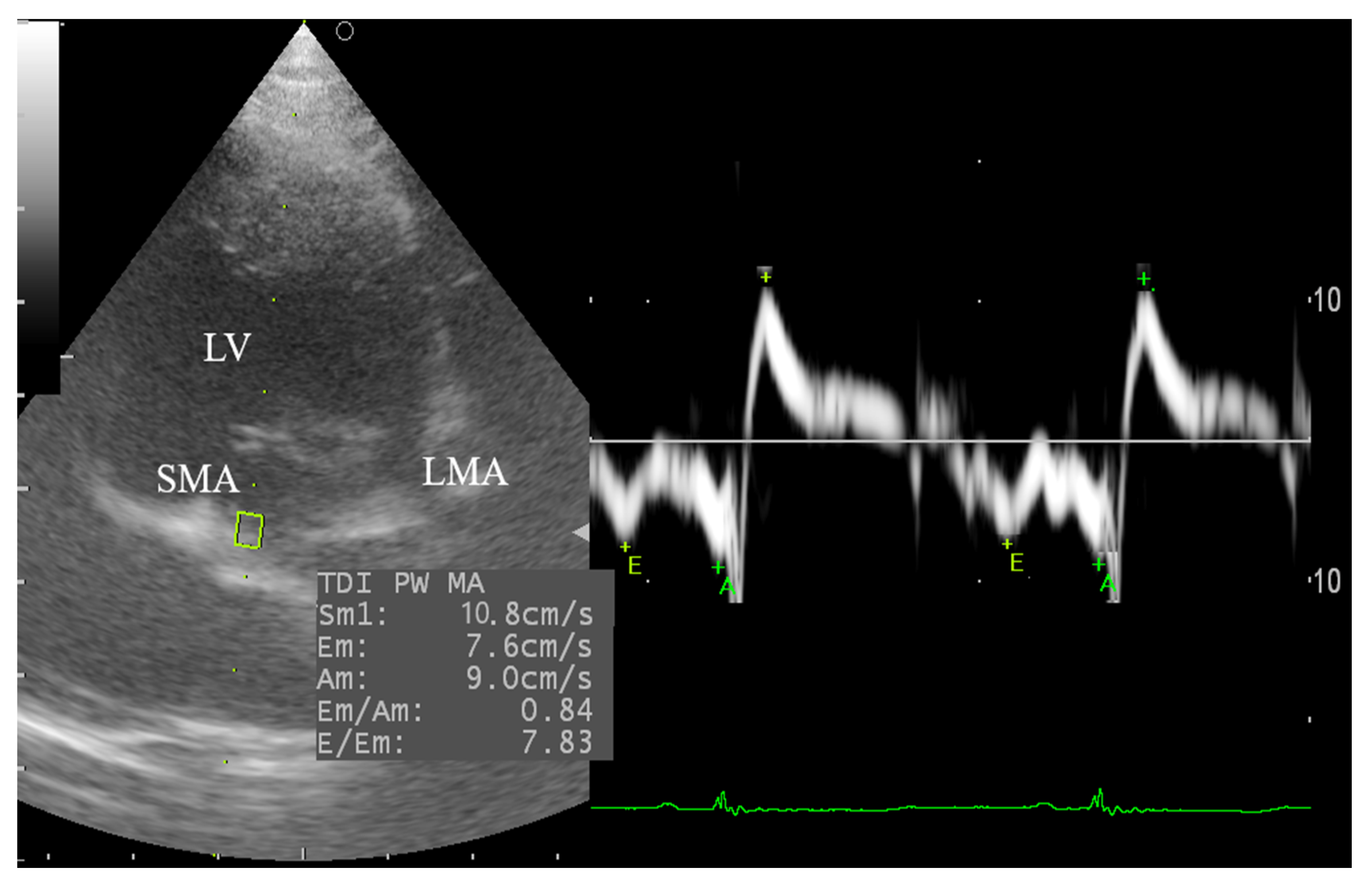 Animals 10 02320 g005